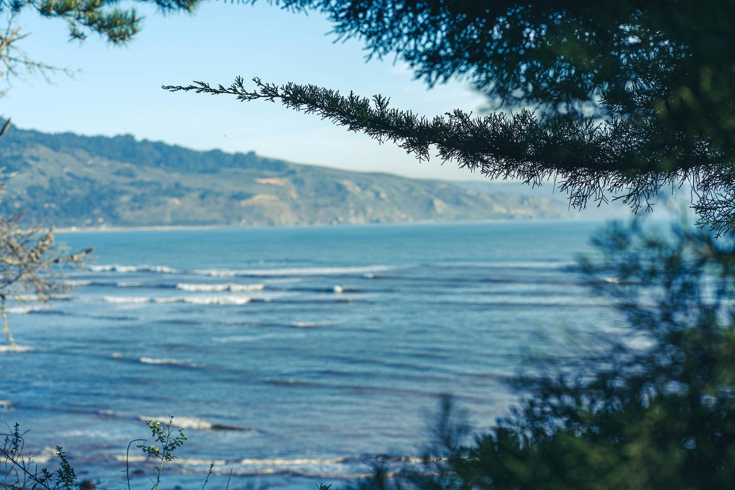Bolinas, CA
