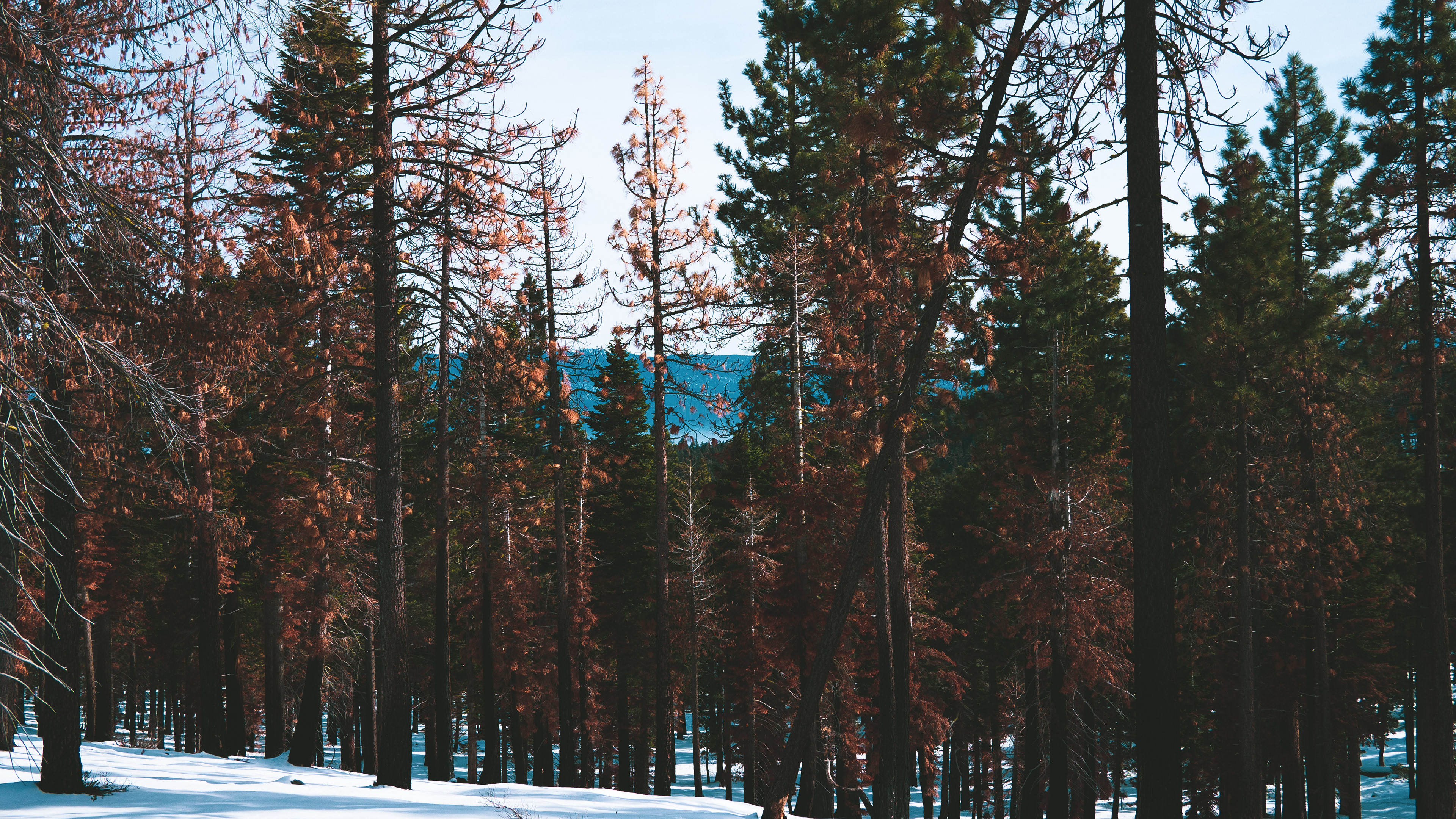 Lake Tahoe, CA