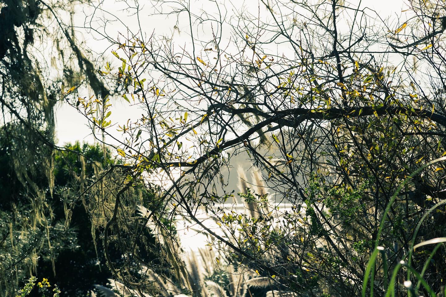 Bolinas, CA