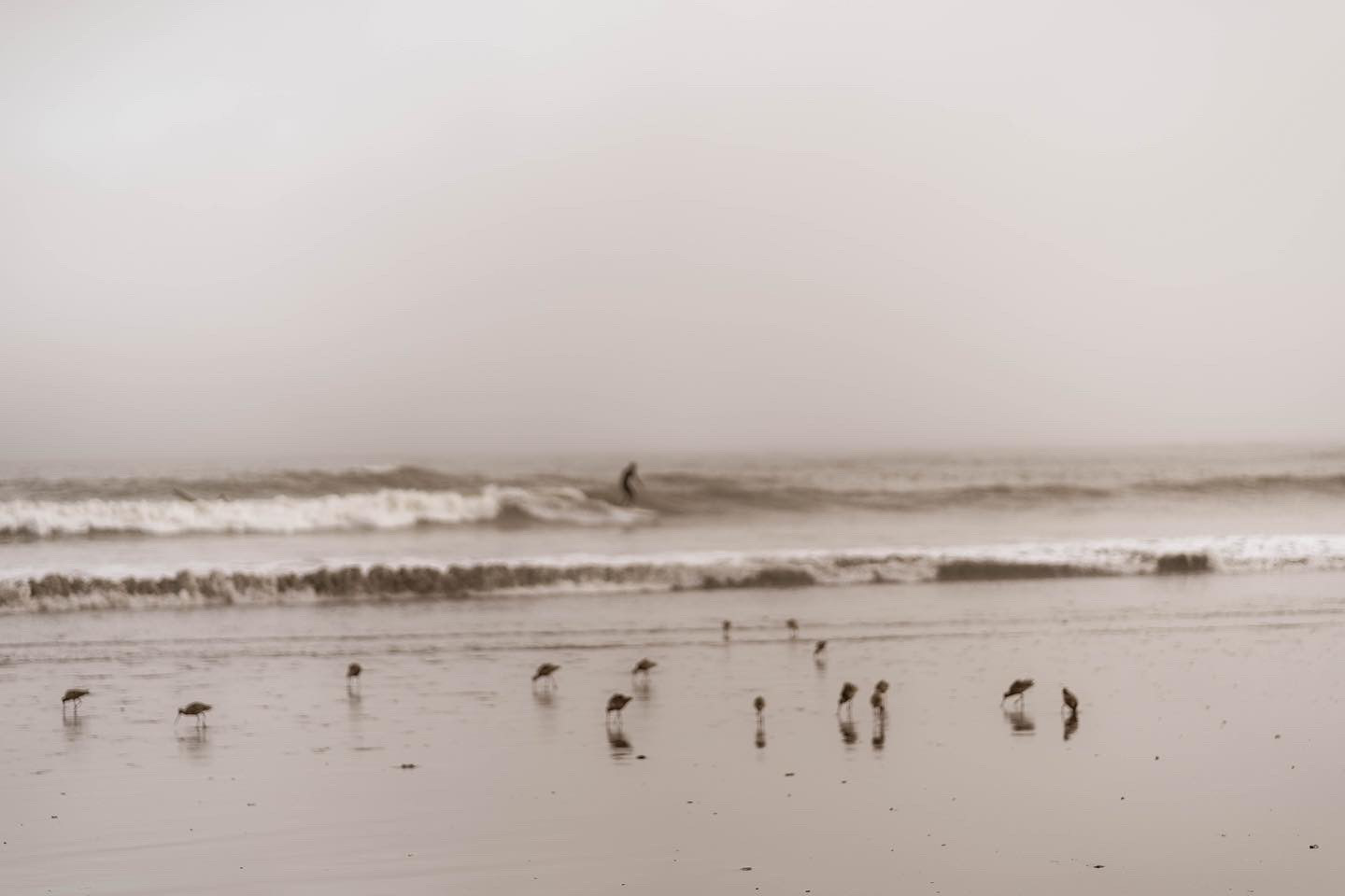 Bolinas, CA