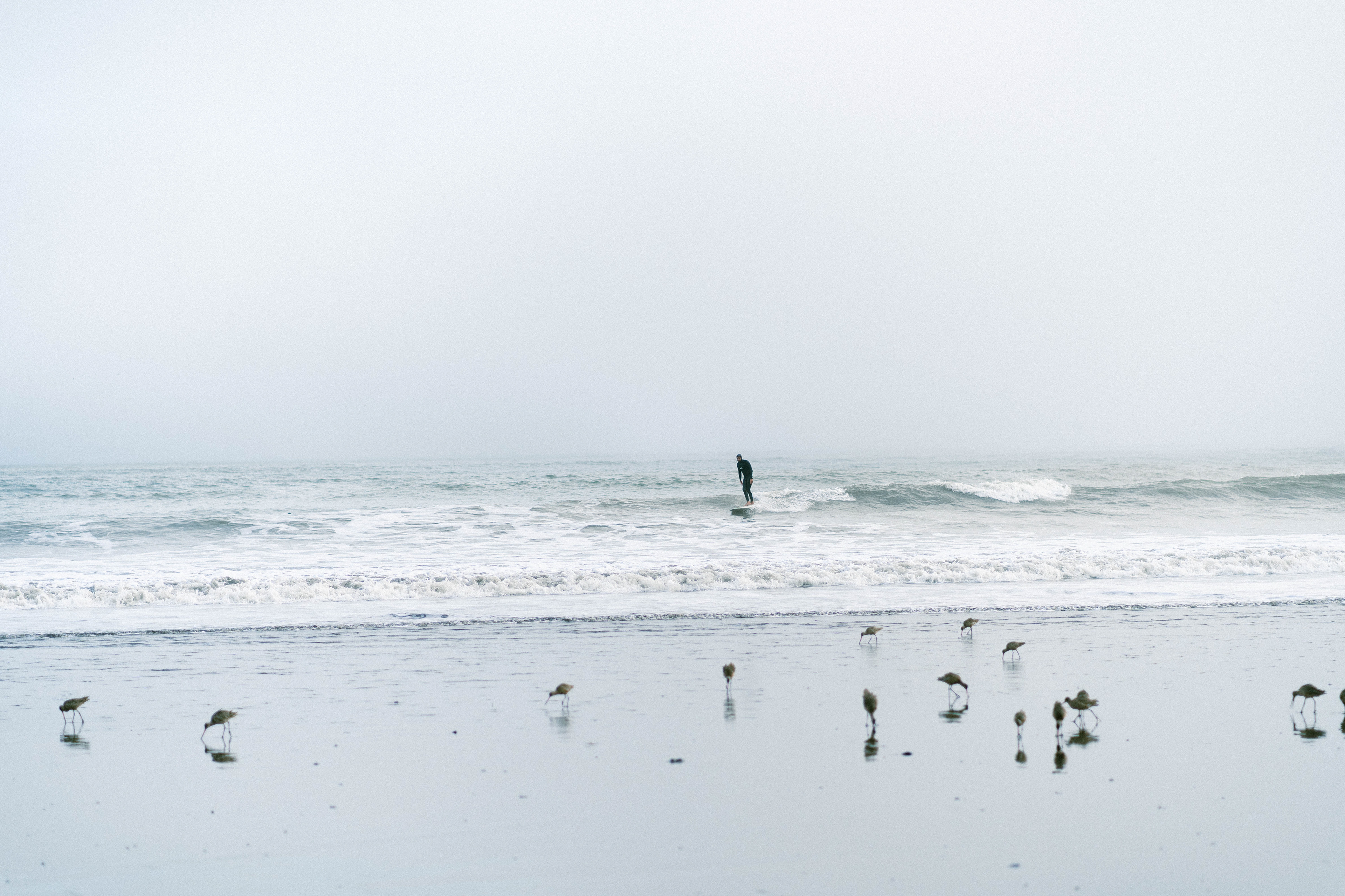 Bolinas, CA