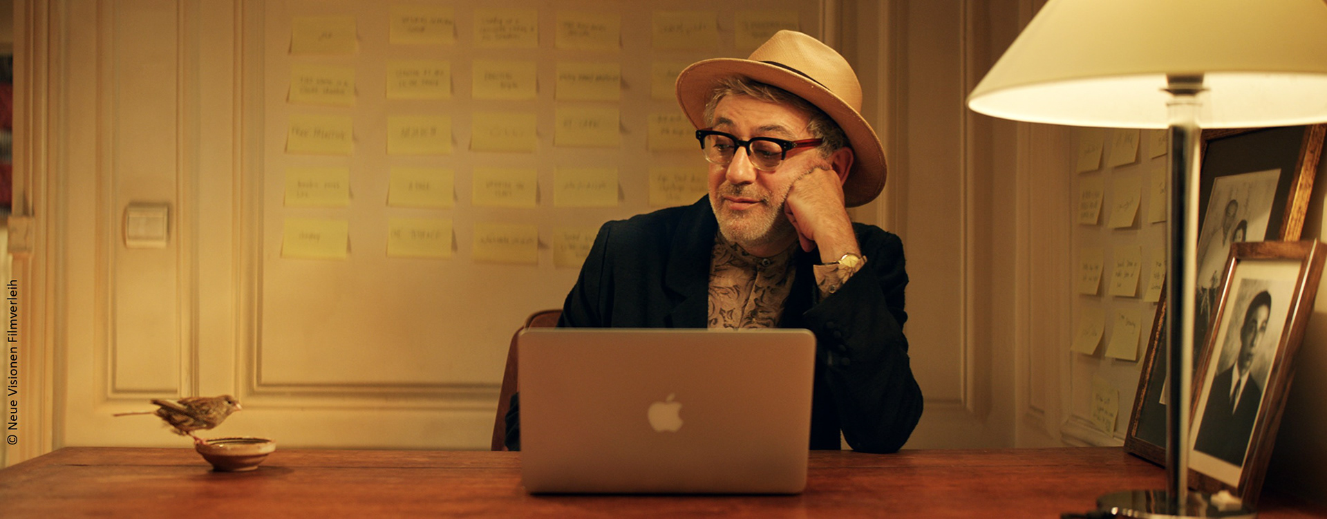 IT MUST BE HEAVEN / VOM GIESSEN DES ZITRONENBAUMS 2019