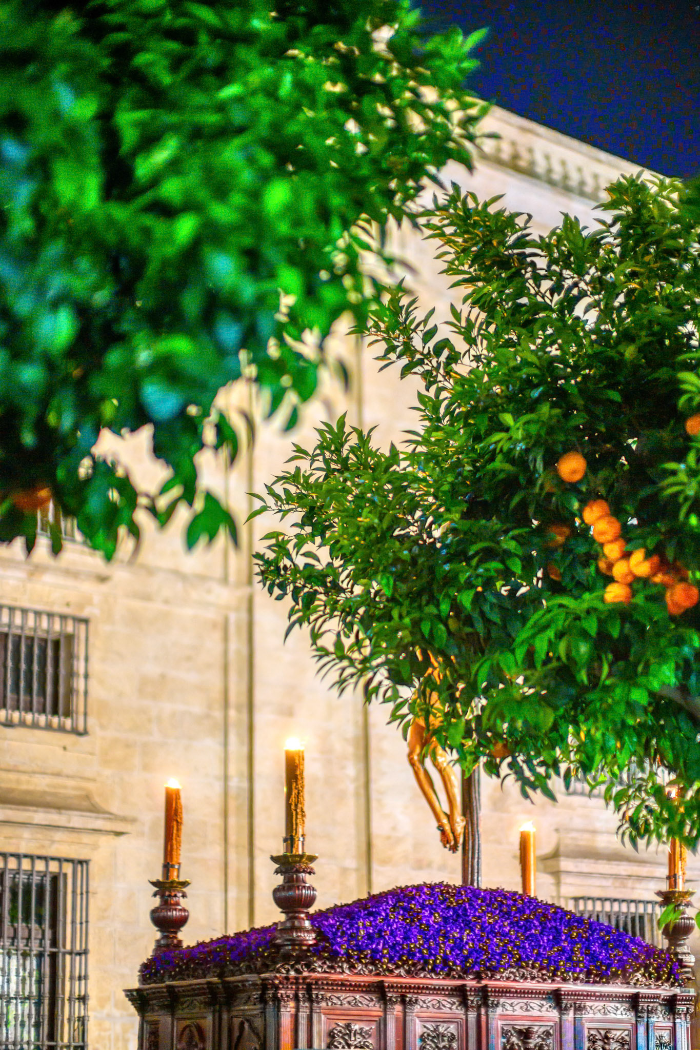 The float of Cristo de la Buena Muerte, of the Estudiantes brotherhood, emerges behind an orange tree on the grounds of the former Tobacco Factory.