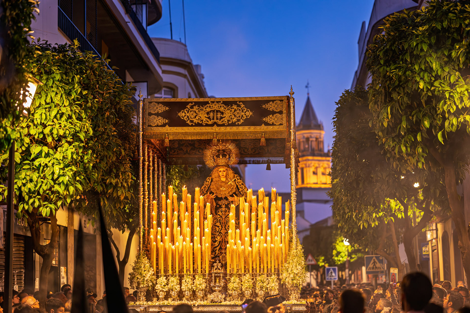 Servitas Brotherhood's Virgin of Soledad processes through orange trees at dusk, San Pedro Spire visible, during Seville's Holy Week.
