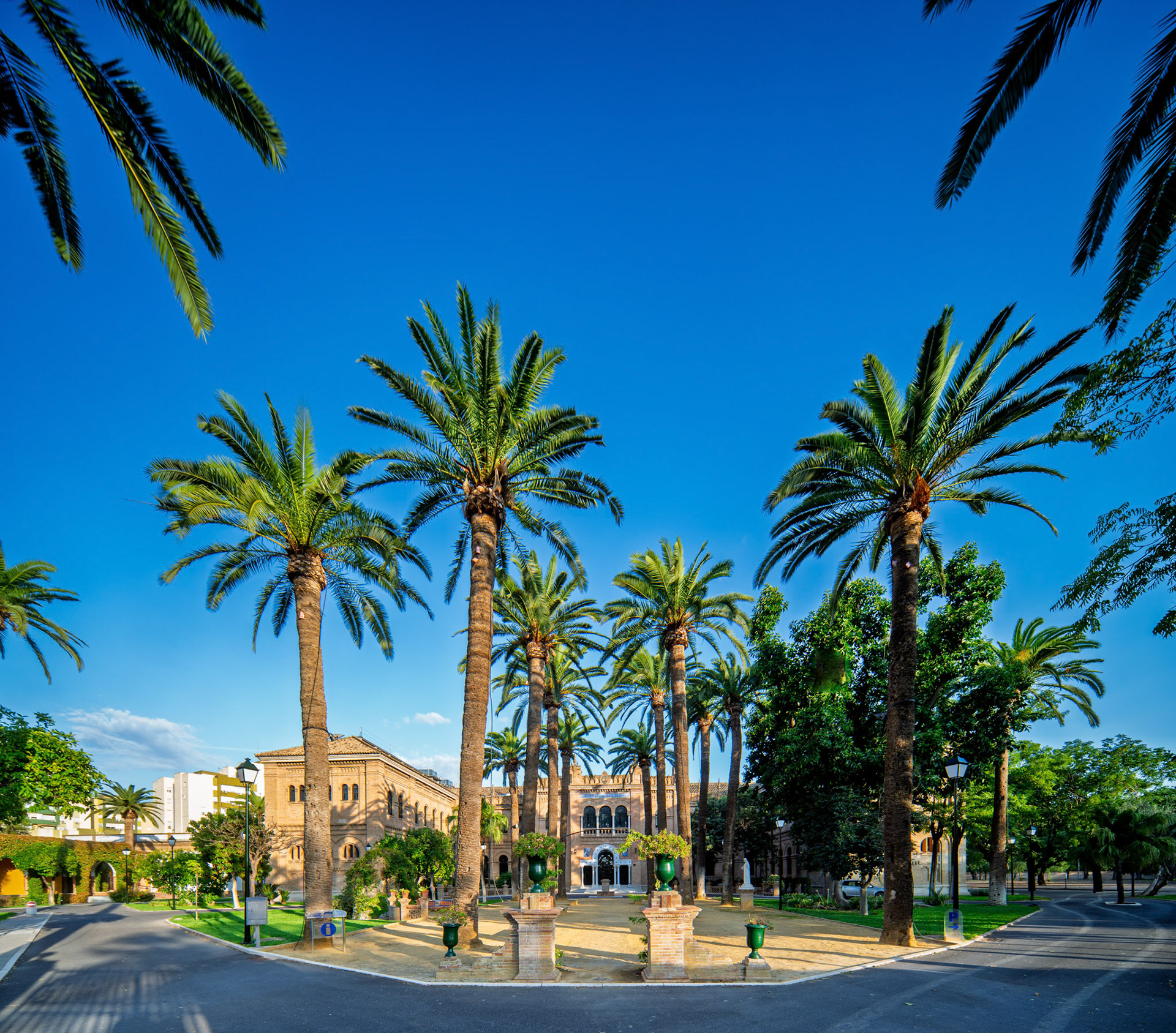 Captures the former Provincial Foundling Hospital of Seville, showcasing the Regionalist style architecture under a vibrant blue sky, framed by palm trees.