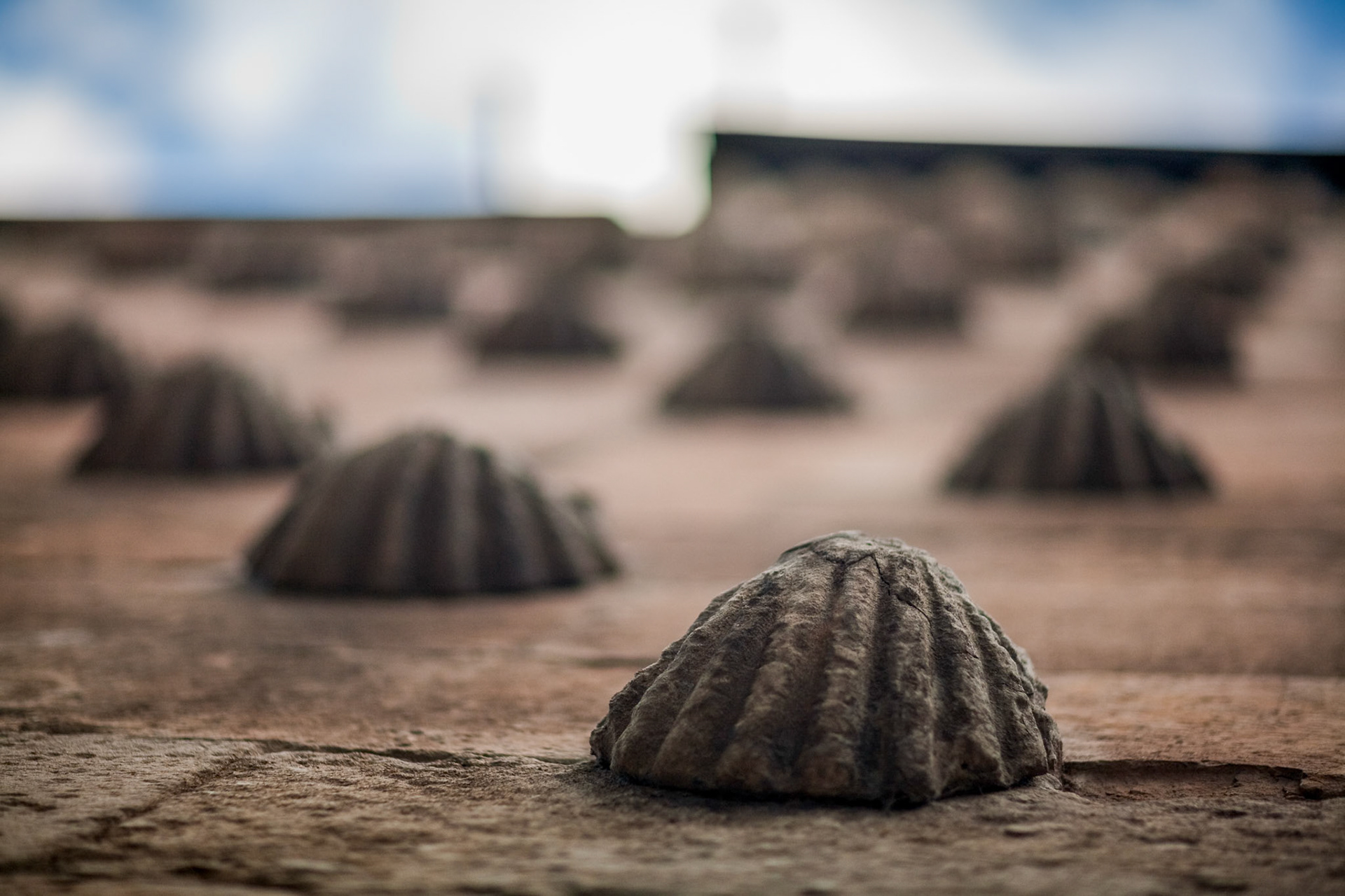 Architectural detail emphasizing unique elements of the Casa de las Conchas facade.