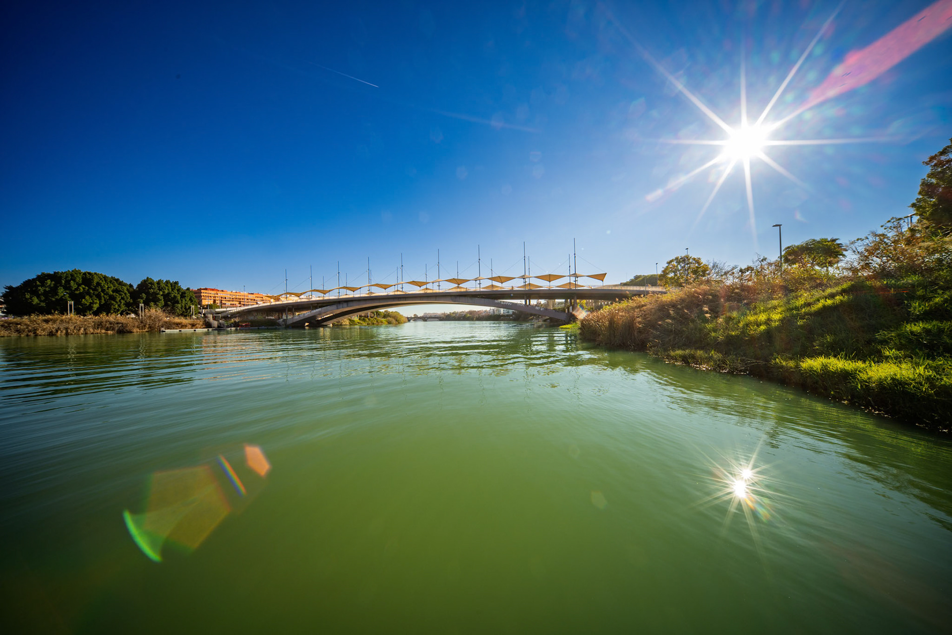 The Cristo de la Expiración Bridge shines in Seville, reflecting sunlight over the Guadalquivir River on a crisp winter day, creating a serene scene.