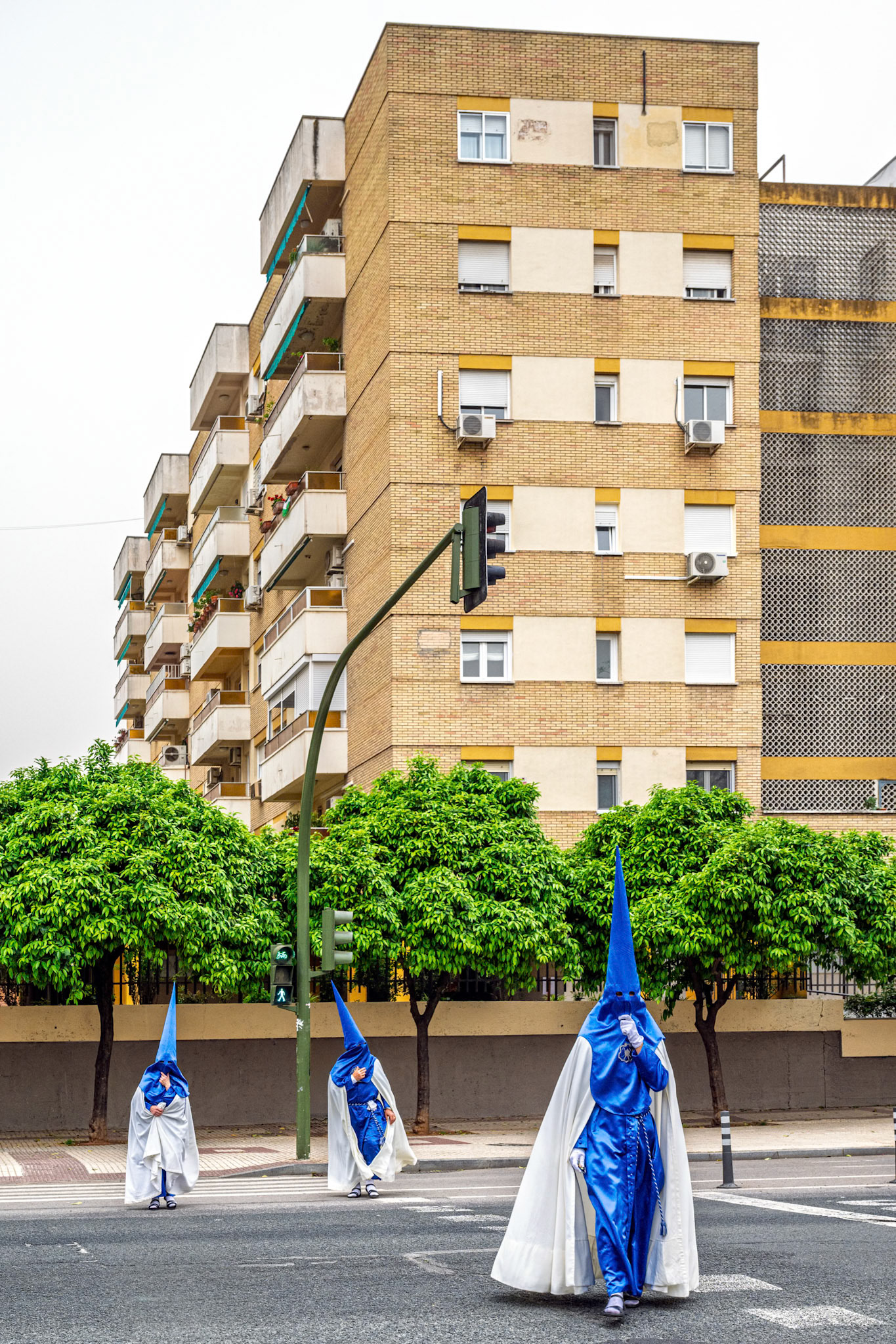 Nazarenos in blue tunics and white cloaks cross an urban street at a green traffic light in Seville. Modern residential building in background during Holy Week.