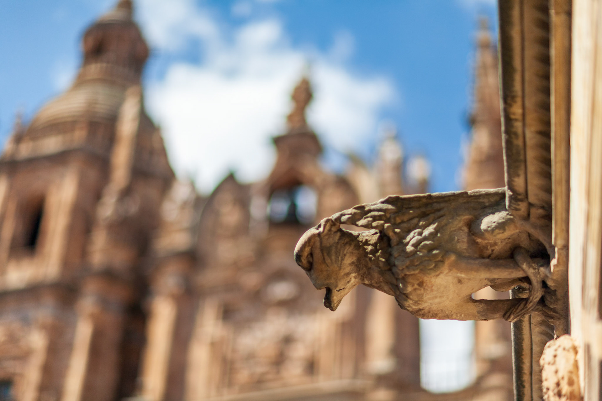 Close-up of Casa de las Conchas gargoyle, Salamanca, with bokeh of Clerecia Church.
