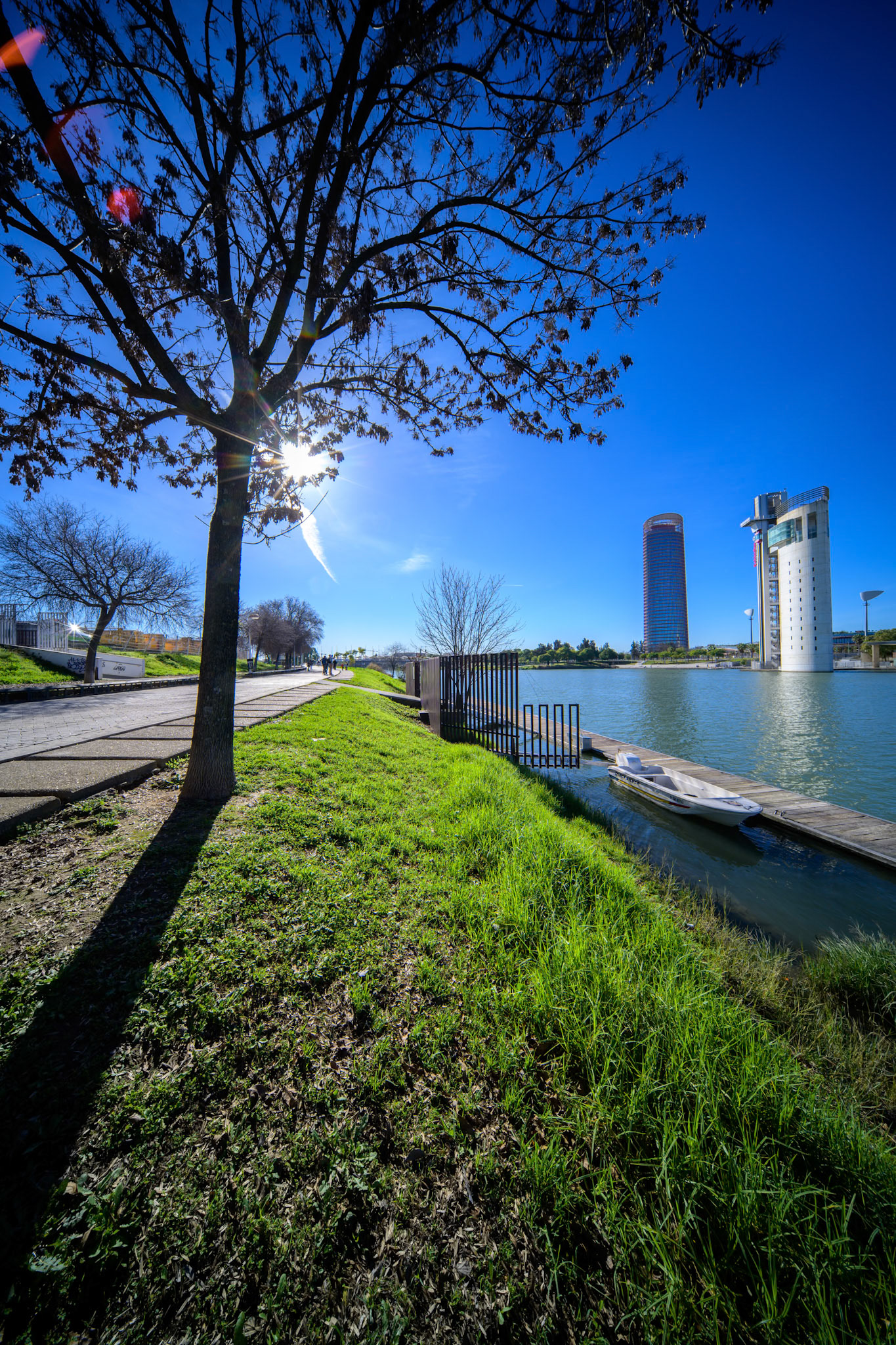 Torre Sevilla and Torre Schindler stand tall over the Guadalquivir, framed by a tree casting shadows on winter grass along the riverside.