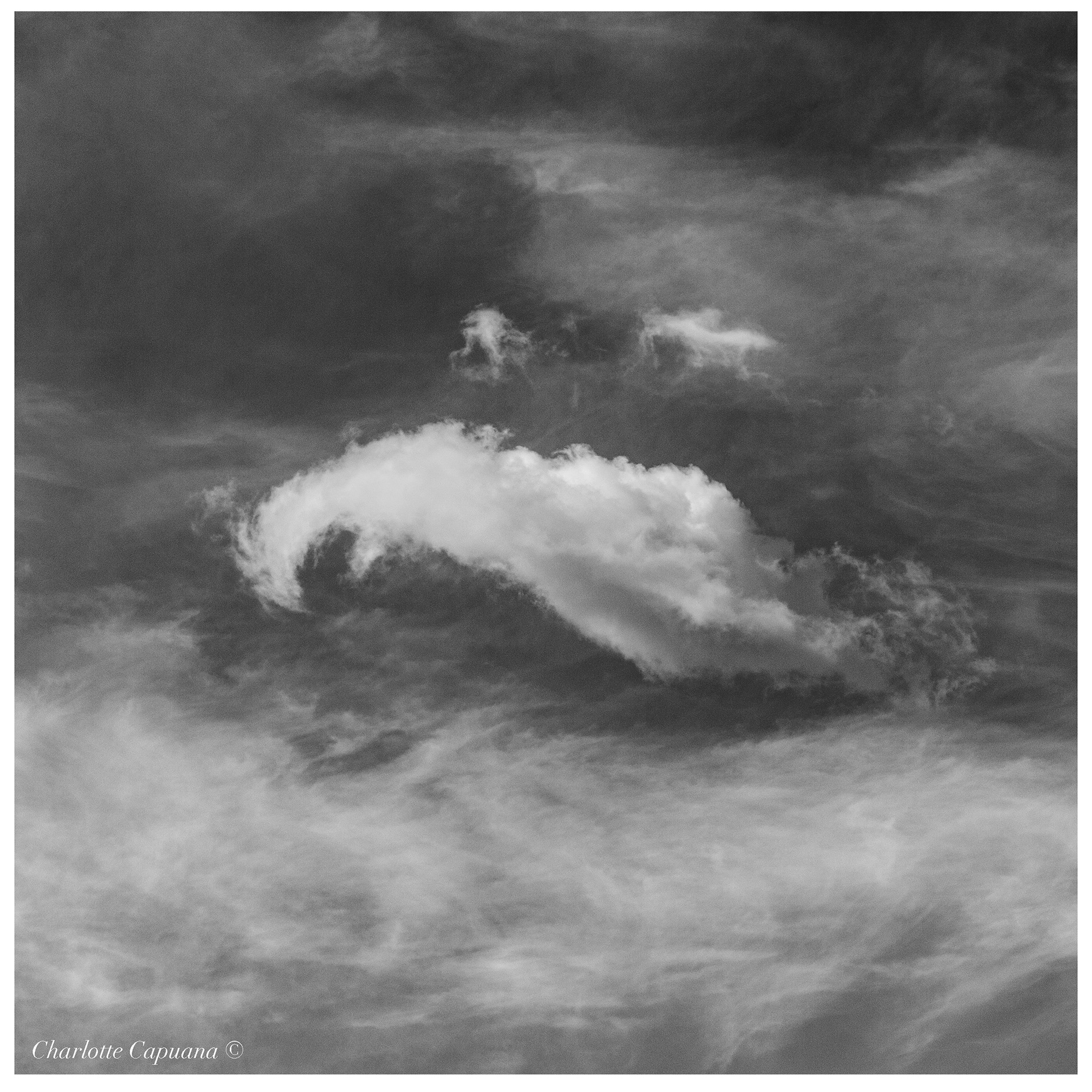 fine art nuvola