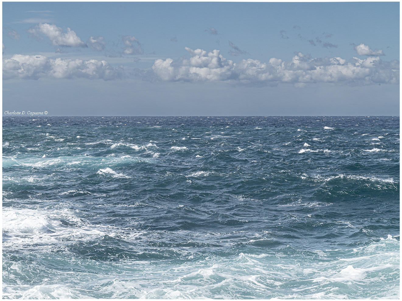 Fine Art mare metamorfosi fluido