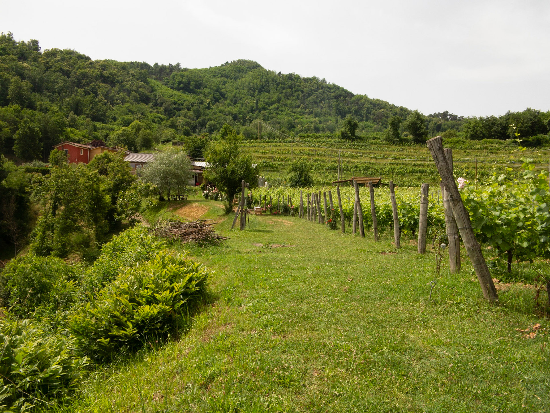 Paesaggio Garfagnana