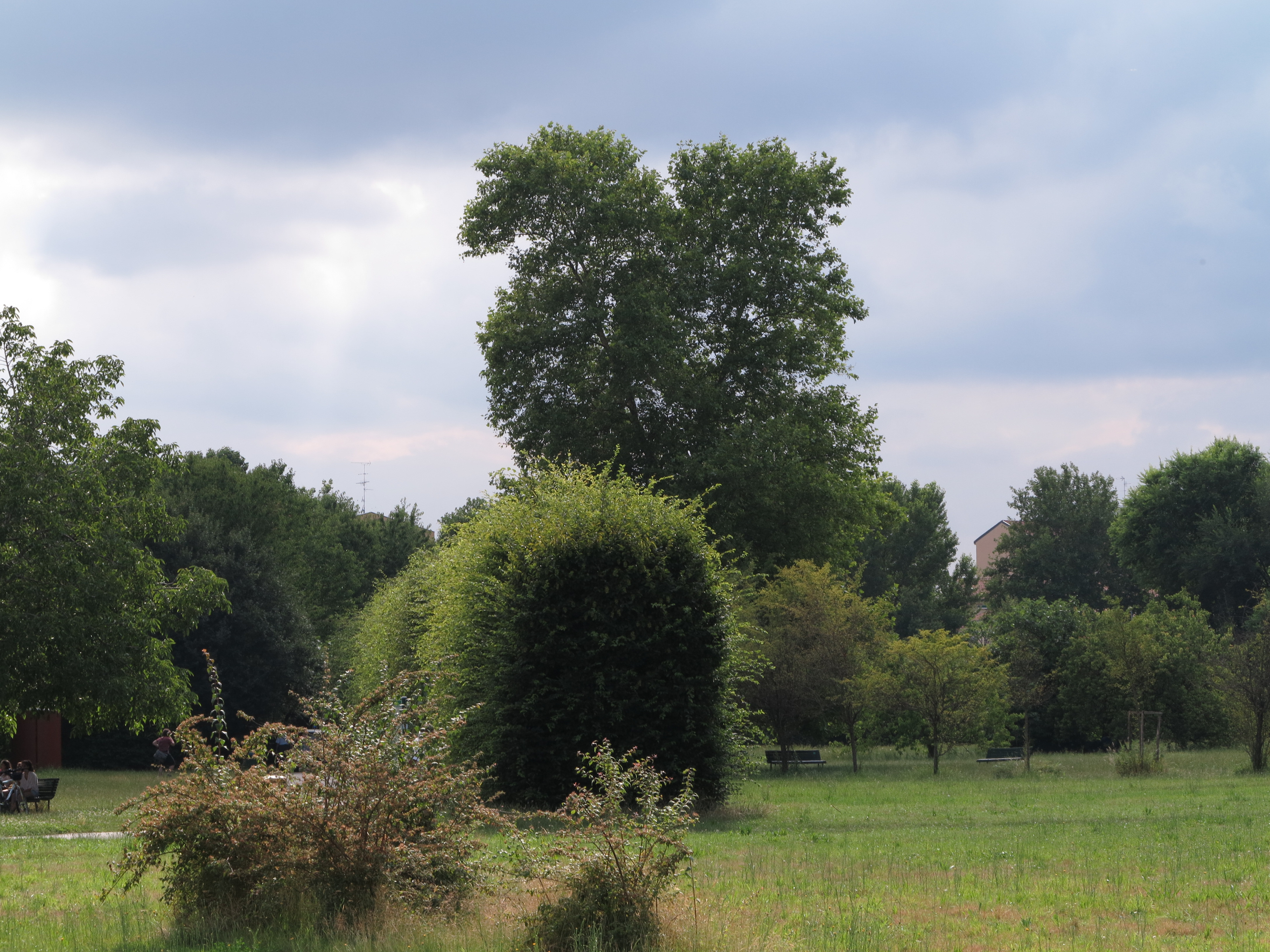 Paesaggio urbano sostenibile Milano Parco Nord