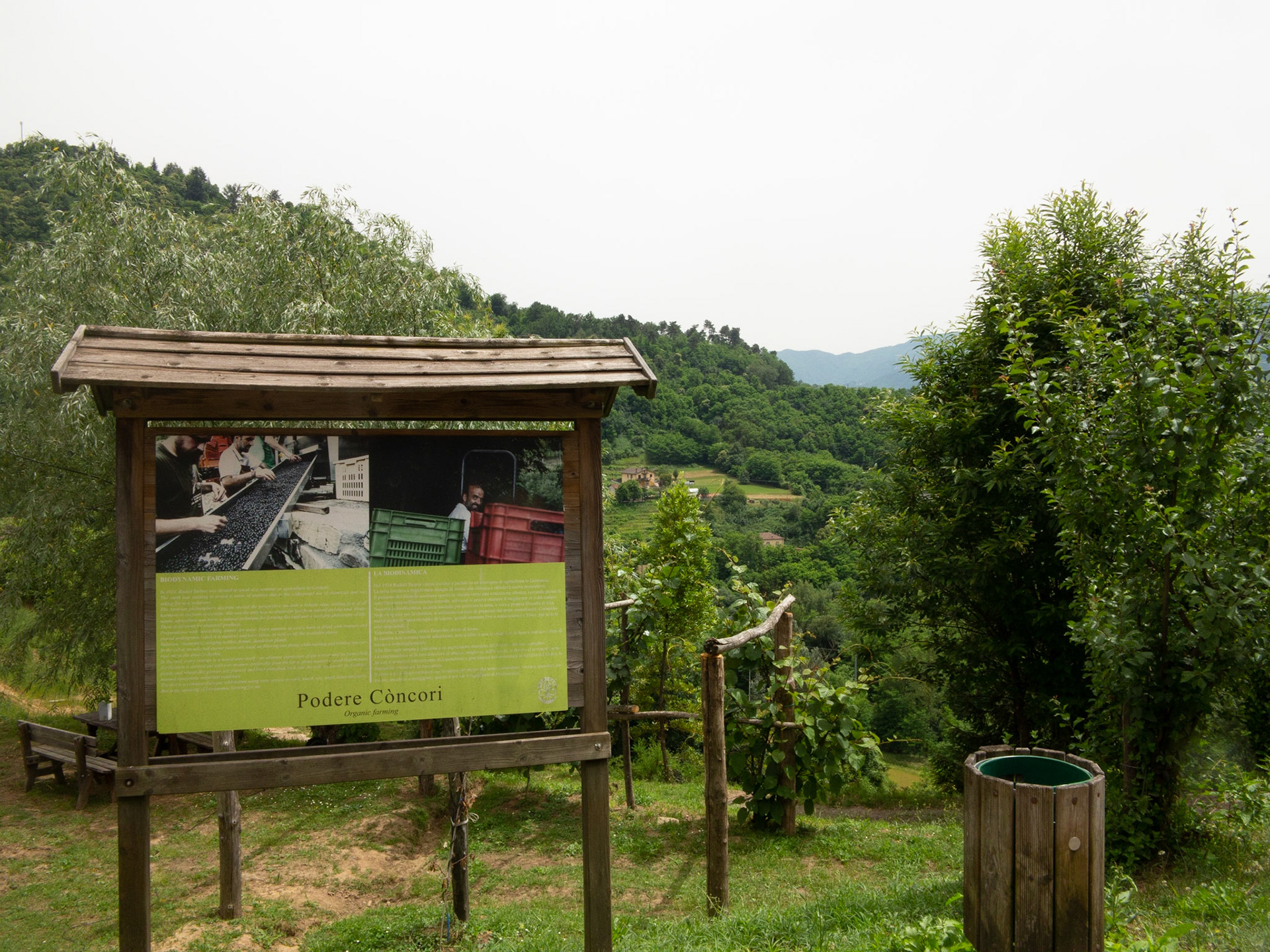 Azienda Vitivinicola Biodinamica Toscana
