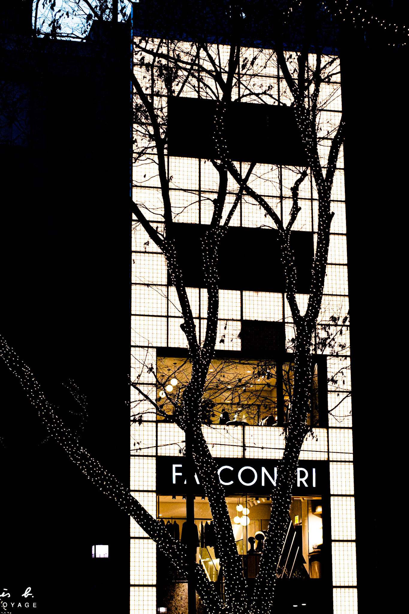 Modern Building at night in Tokyo with a treet in front