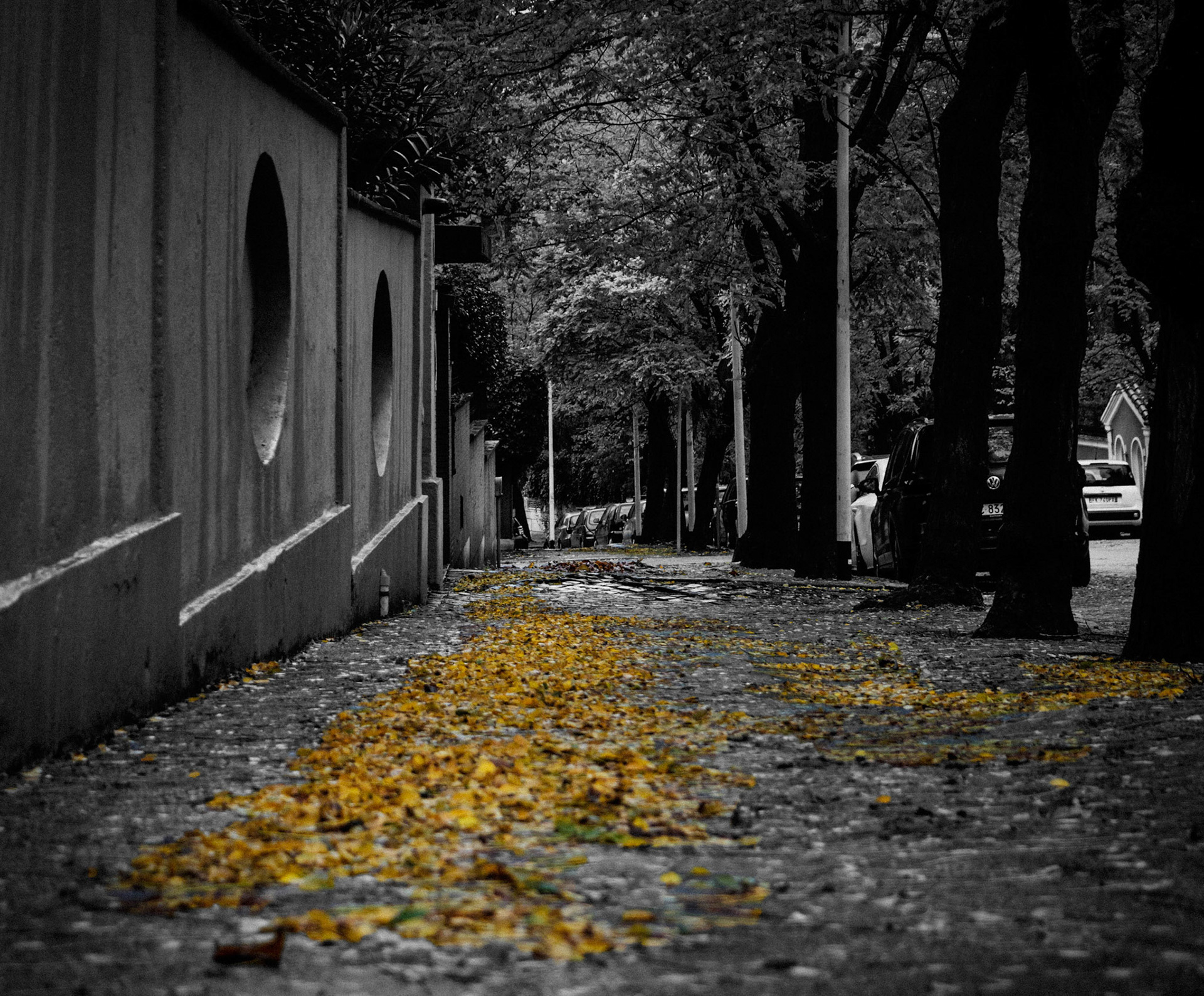 Autunno B&W 1