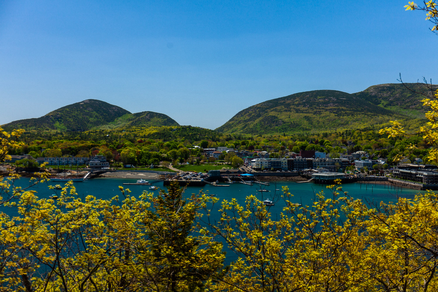 A view of Bar Harbor from Bar Island 