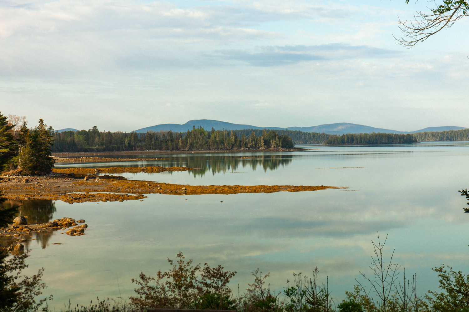 The view from our temporary home in Sullivan, Maine.