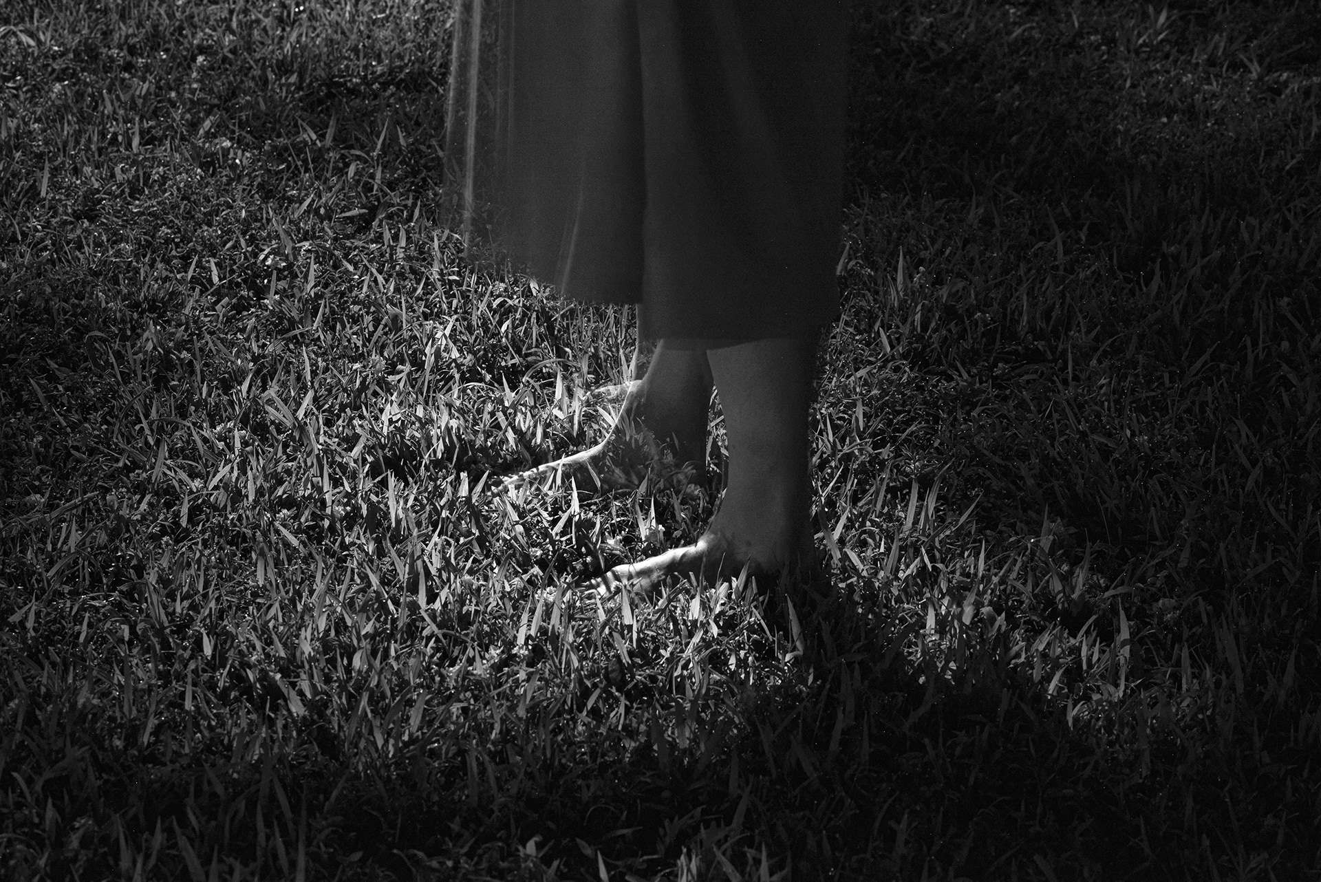 This is the capture telling you I have had night walkings often. The dewy midnights call me. Every night dew drops fall in the nature surrounding me and disappear the midnight before the sun is up. Feeling this evaporation while stepping on the grass makes me calm. During this seductive time, I feel the loading of motherhood nature in my body, triggering receptors under my skin. It's a bizarre mix of water and temperature, letting my mind get clear. It's a magical moment how the dew is absent in the presence of dry air; our pathos ideas that have been stuck cyber magnetic modern daytime came out at night.