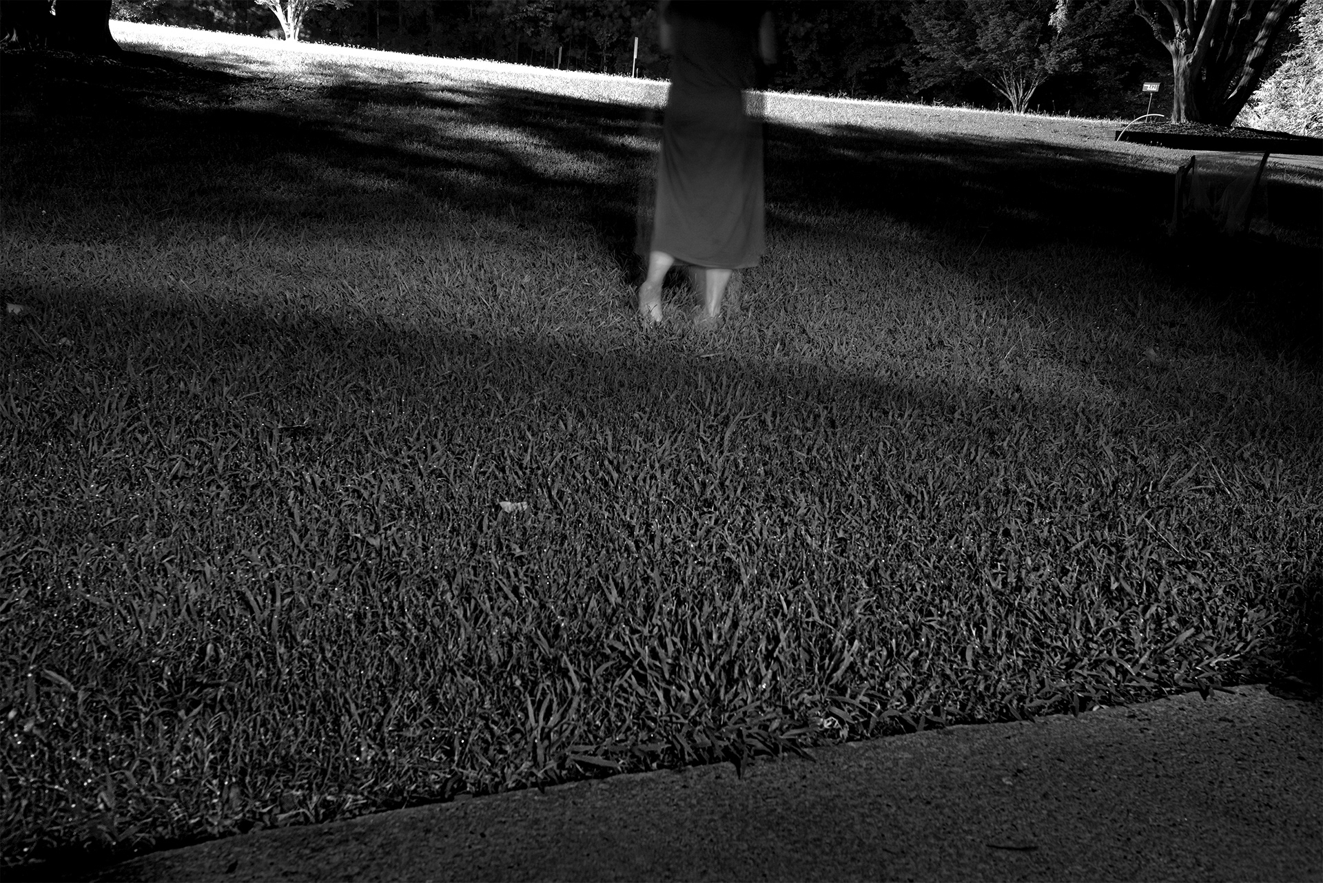 Here is my new habitat, where is in the scene my preferred surroundings. 2421 New Bern Avenue is addressed in Raleigh. I told you a monochromatic story about my settlement. And also shared videos and photos I have been taking during the day with deers, northern cardinal birds, squirrels, rabbits, frogs, badgers, rats, and so on, which I haven't met yet. The experience of living in different climates for 12 years still made me mesmerized.