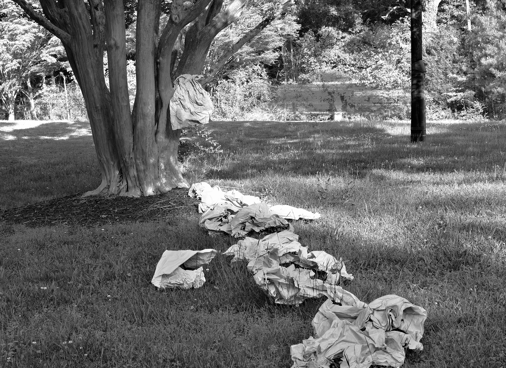 I have fictionalized the fantasy that they want to return to the nature of the wrapping papers that make up the stack.