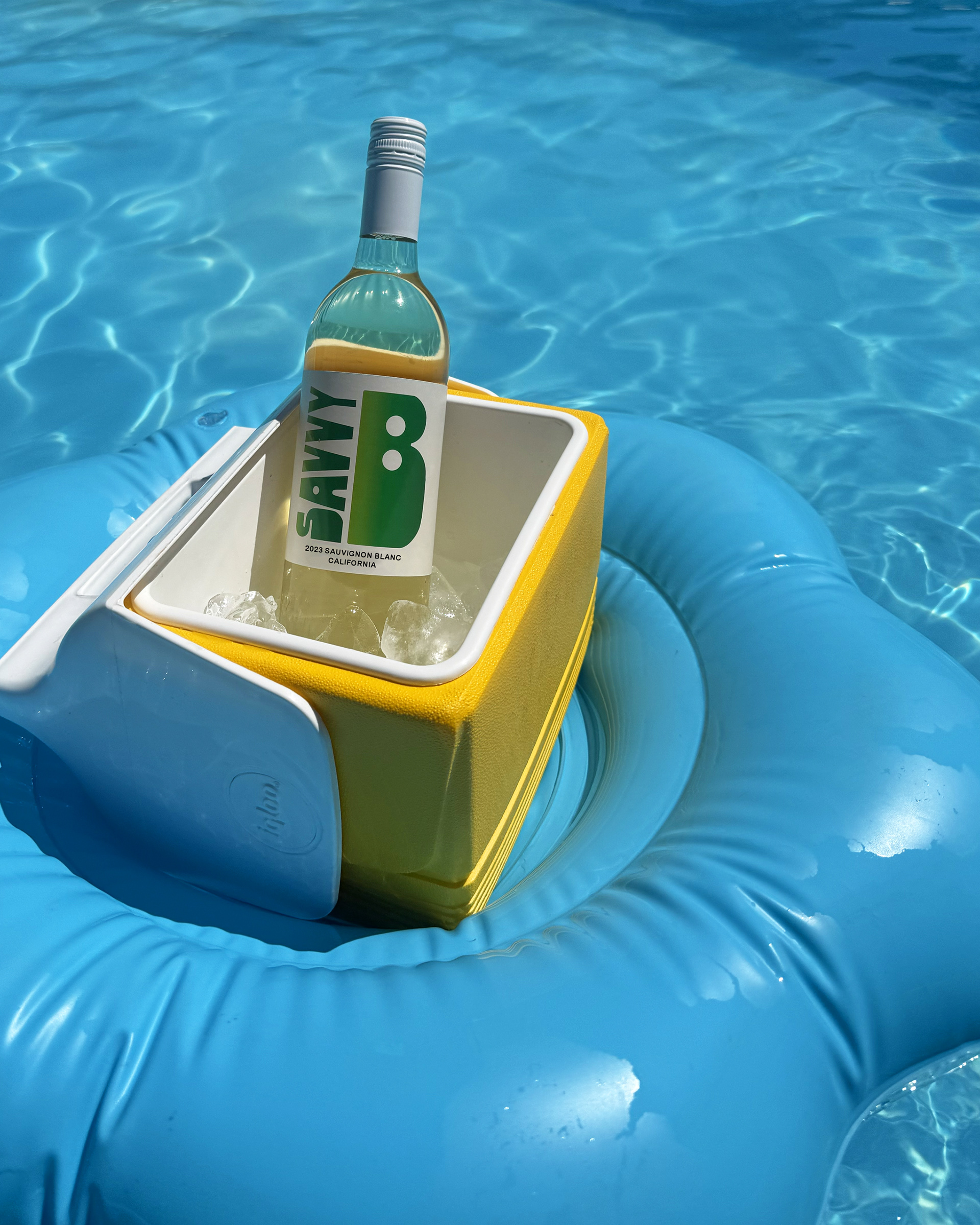 Savvy B in cooler float in pool