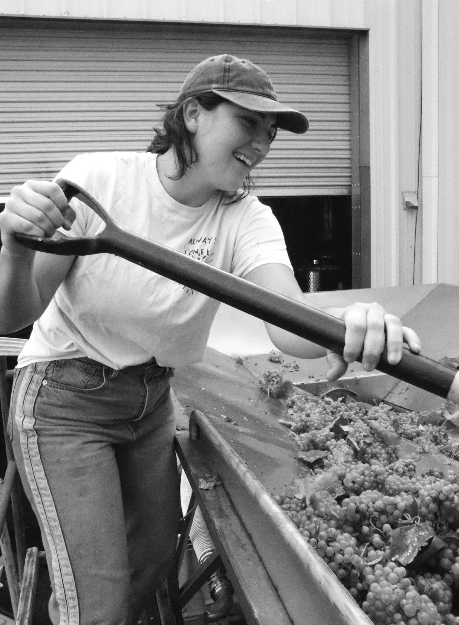 Woman working with grapes