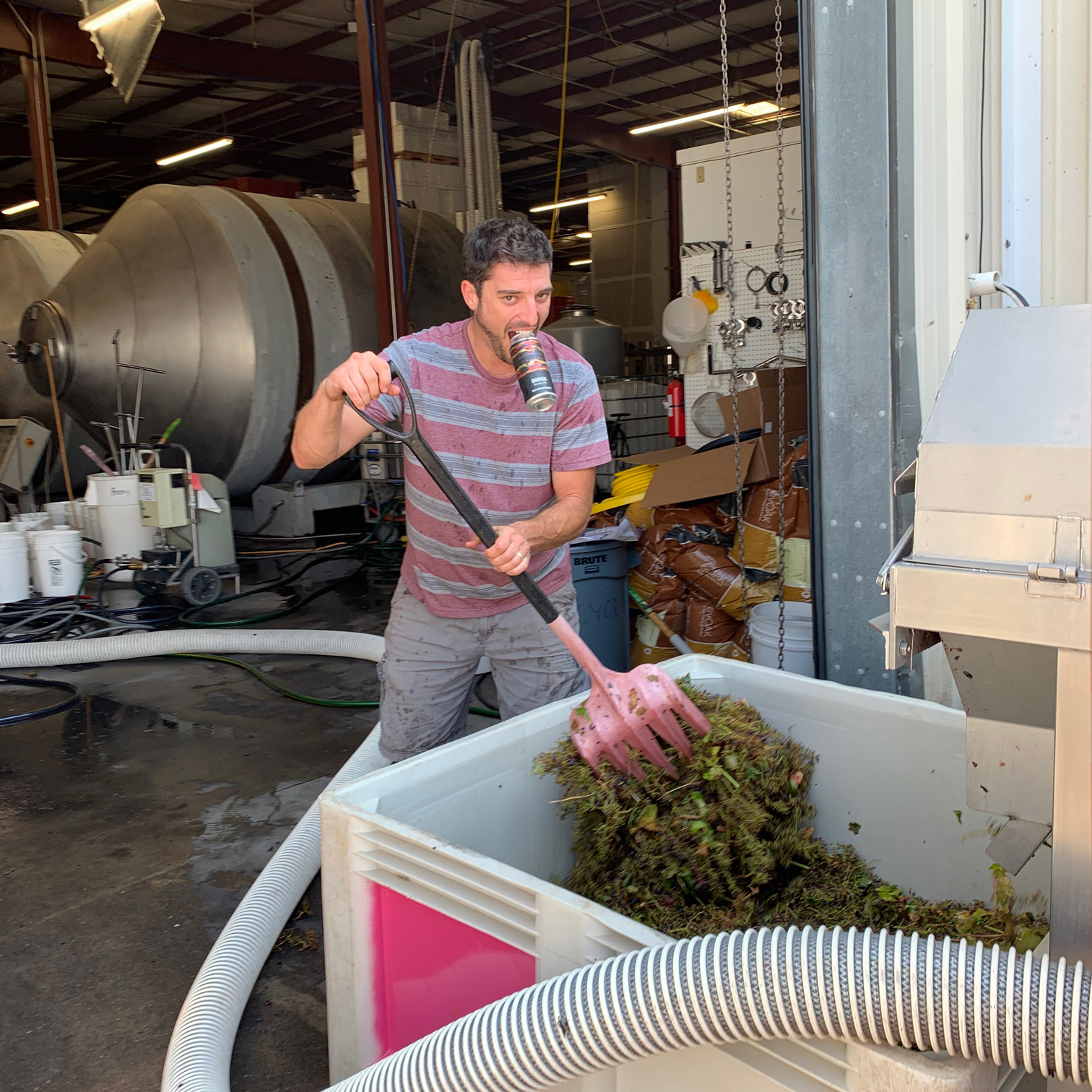 Winemaker Mica Raas