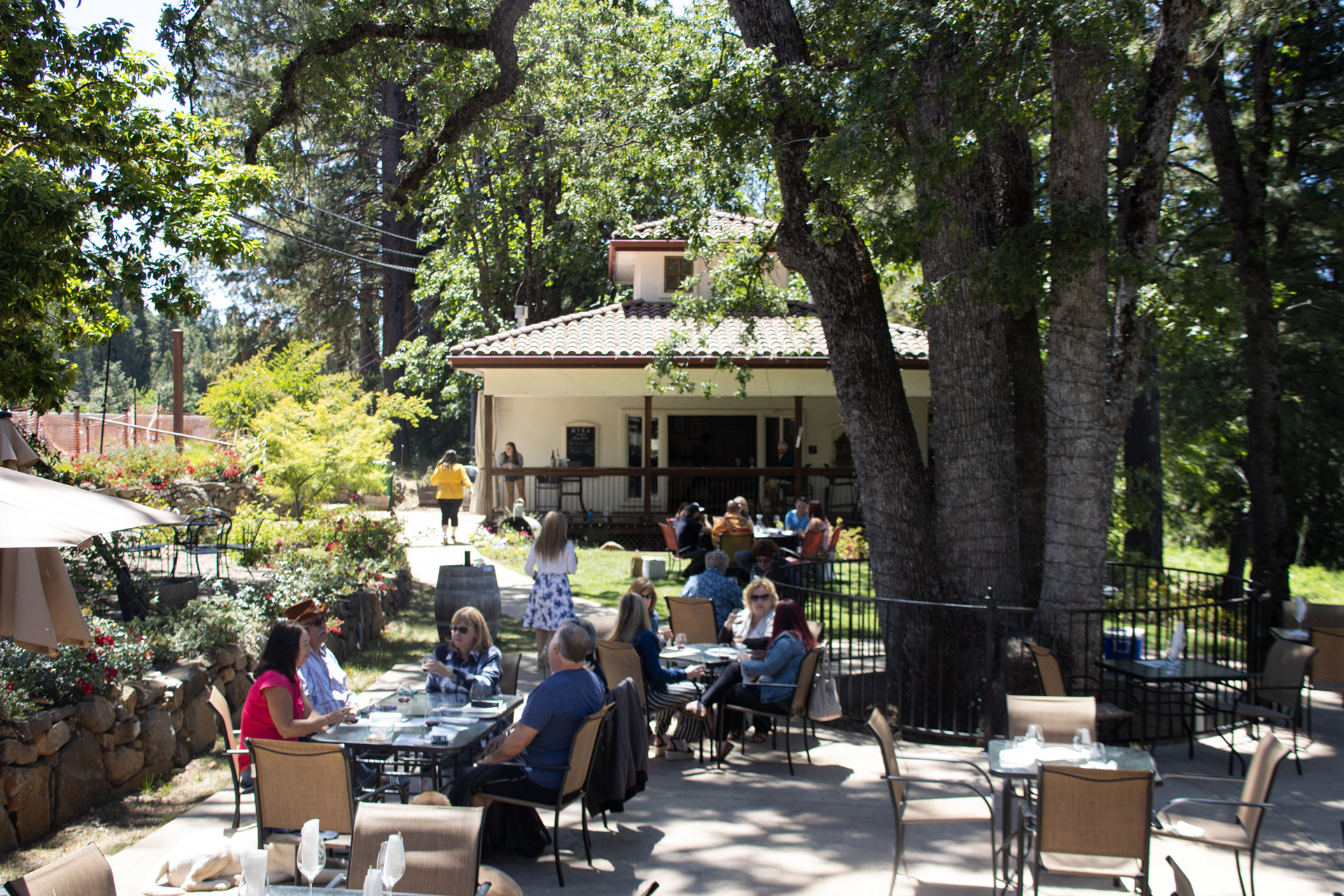 Myka Estates tasting room