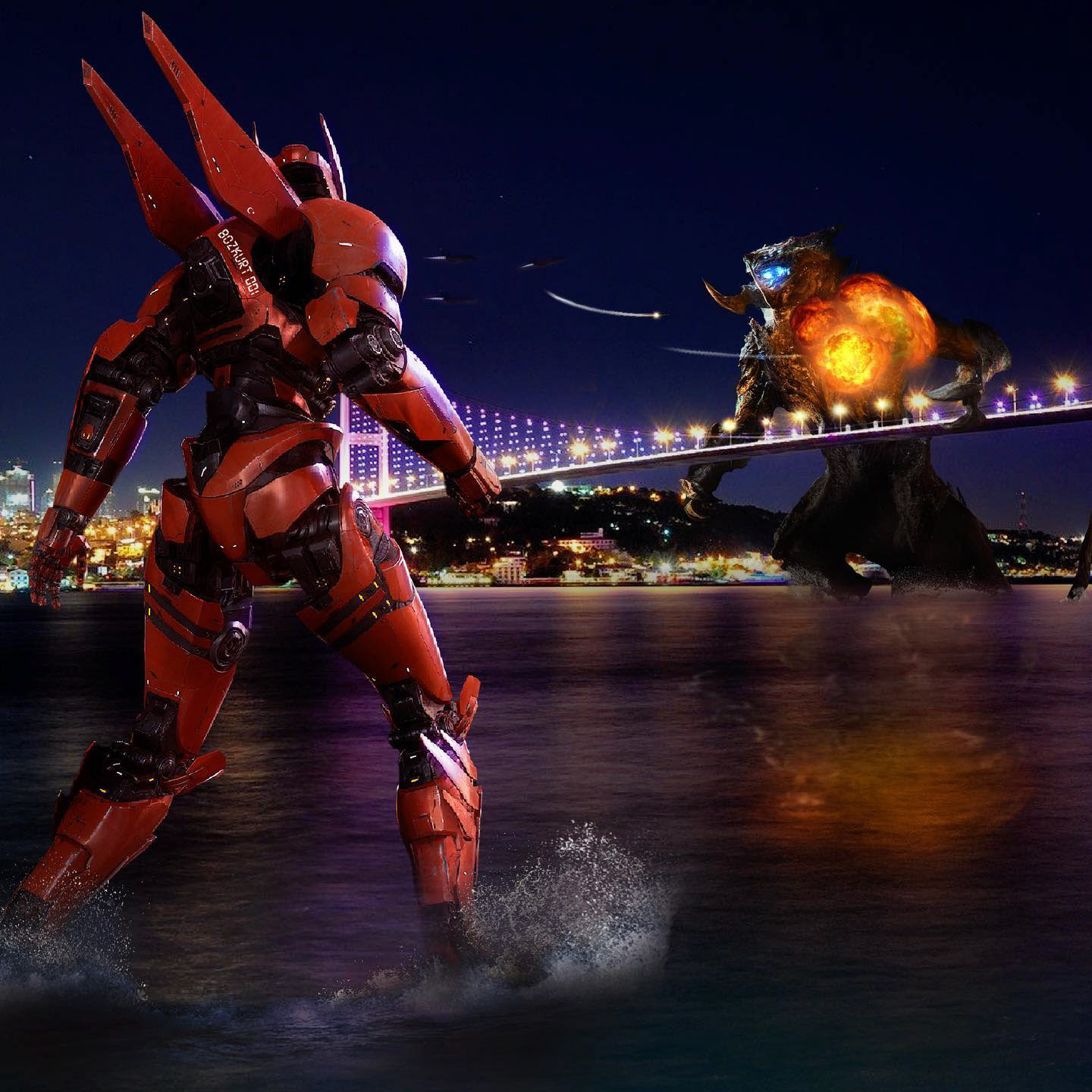 Pacific Rim Contest (ISTANBUL RAID)