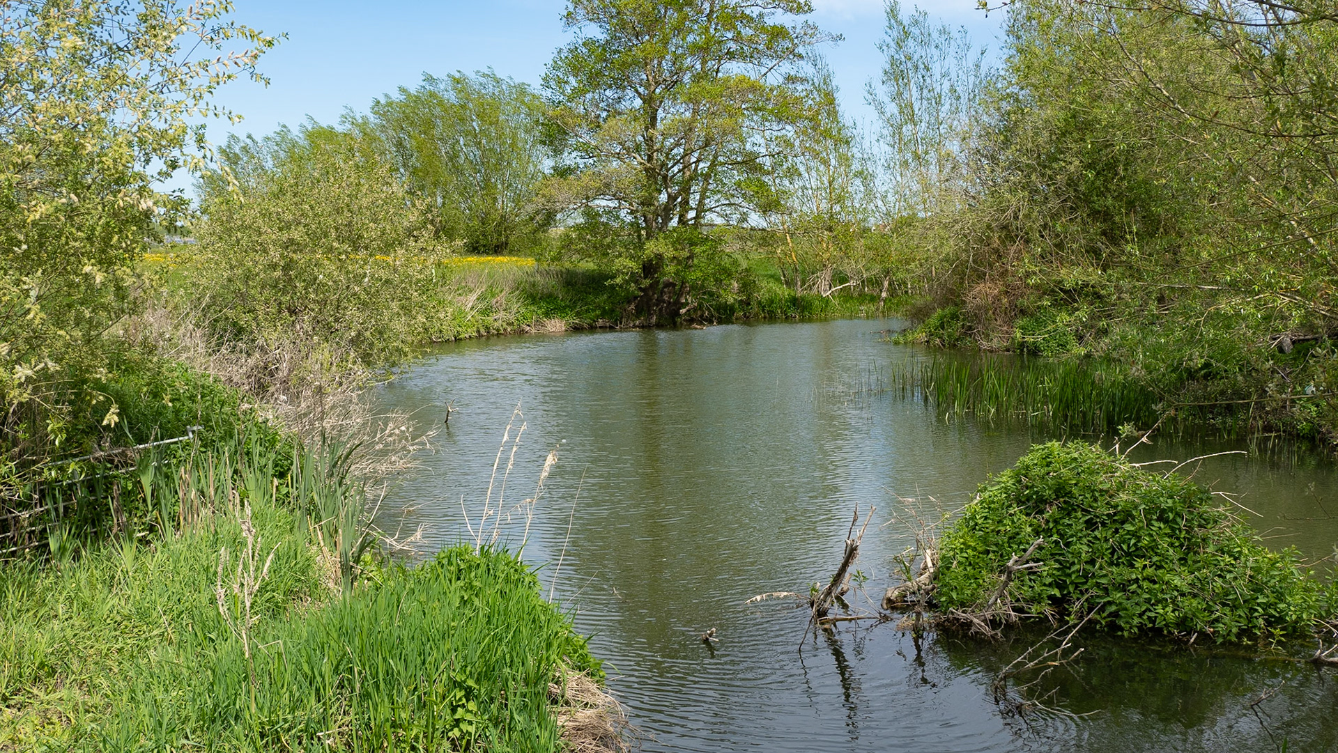River Thame