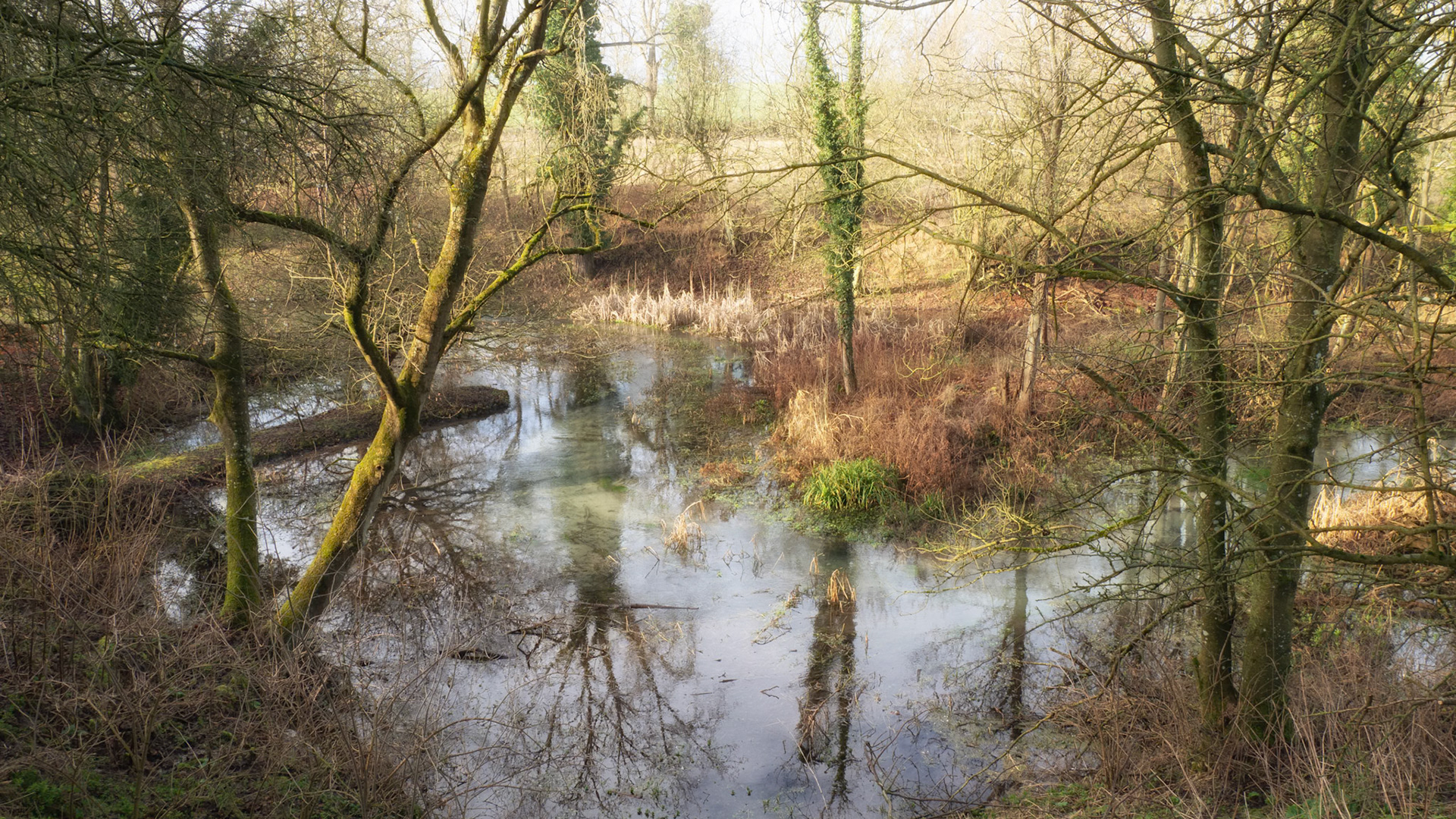 Letcombe Valley Nature Reserve