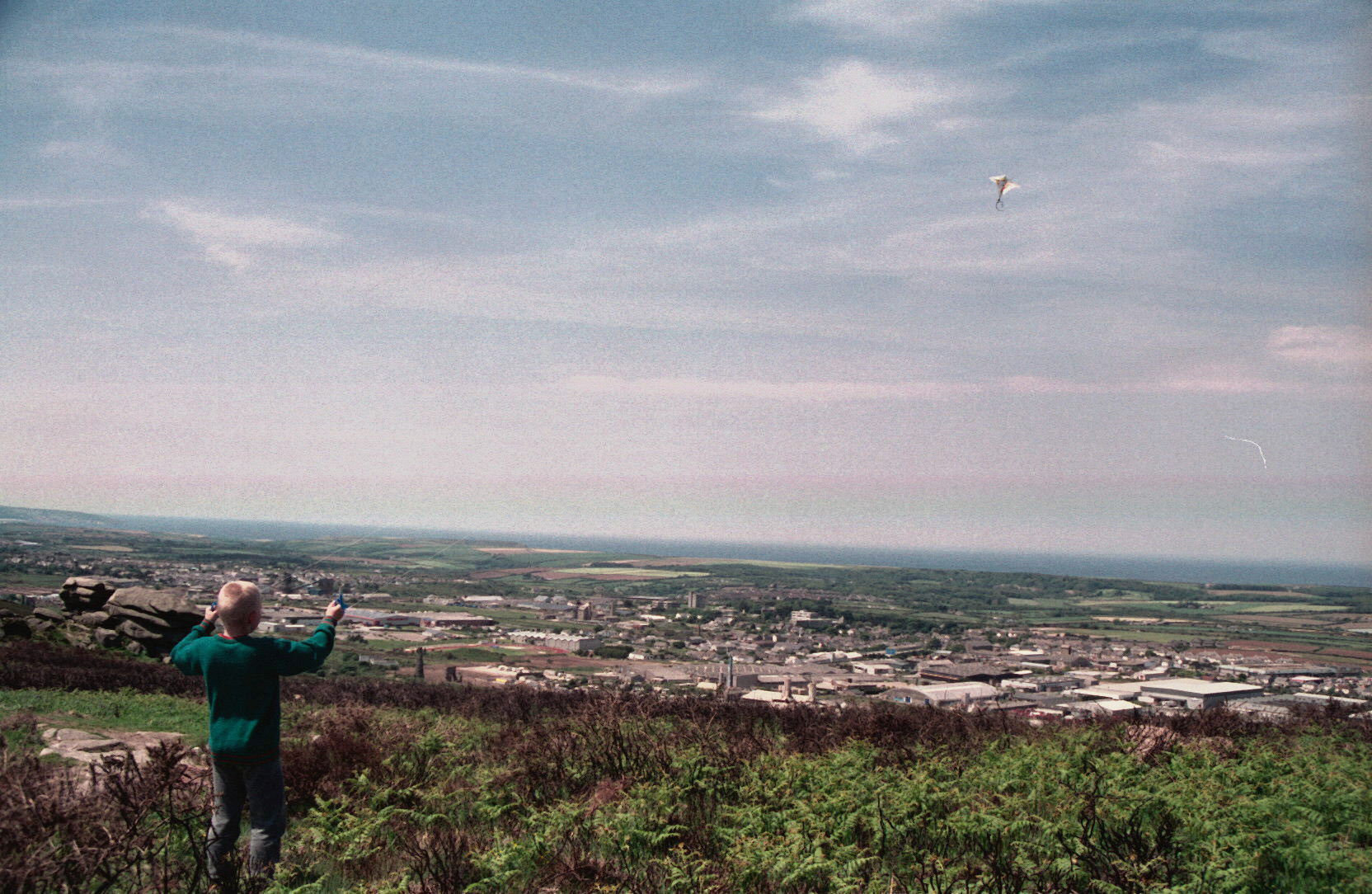 Jamie and Howard went kite flying