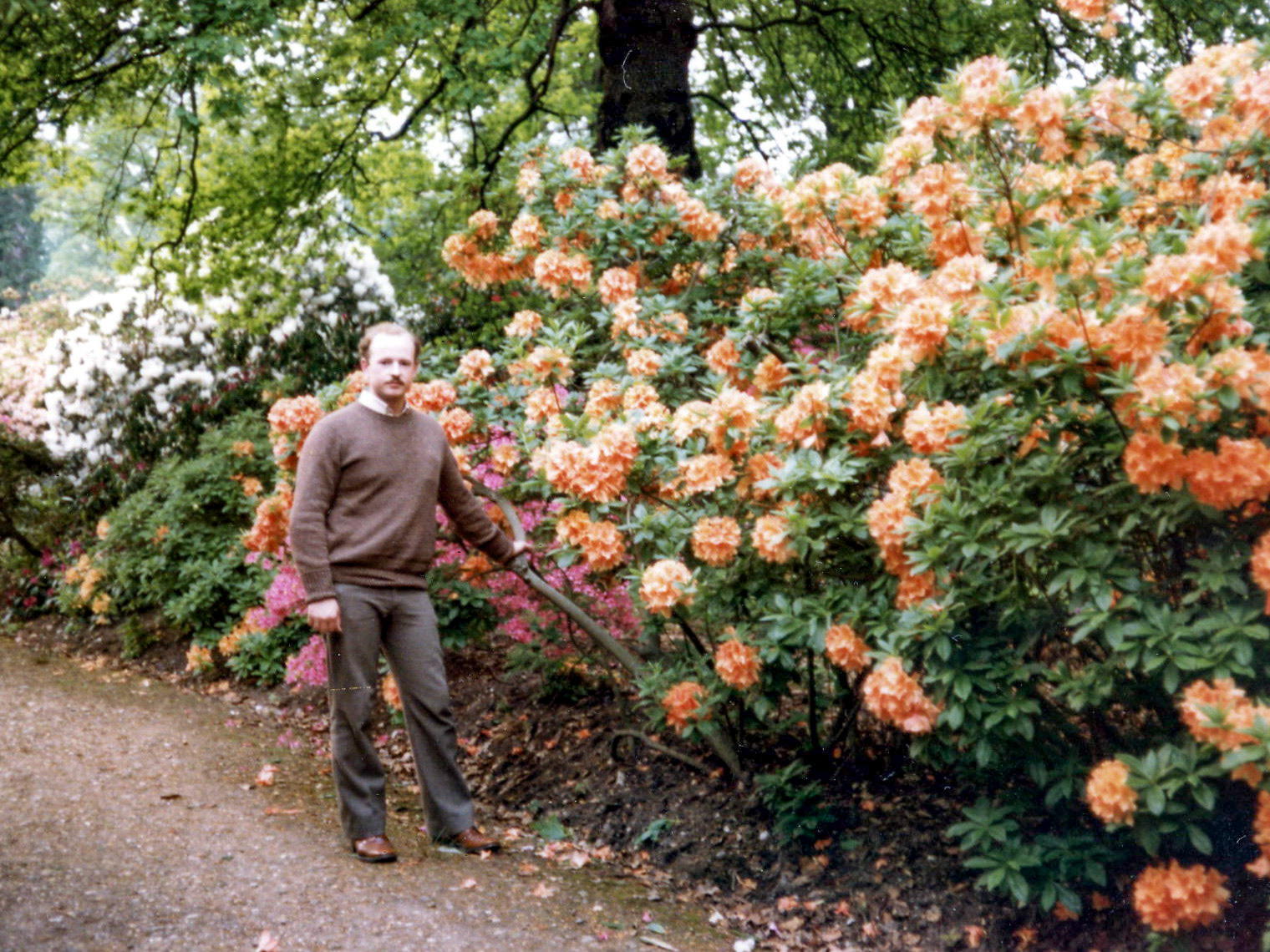 Howard at Langley Park, Azalea Gardens, Summer 1980