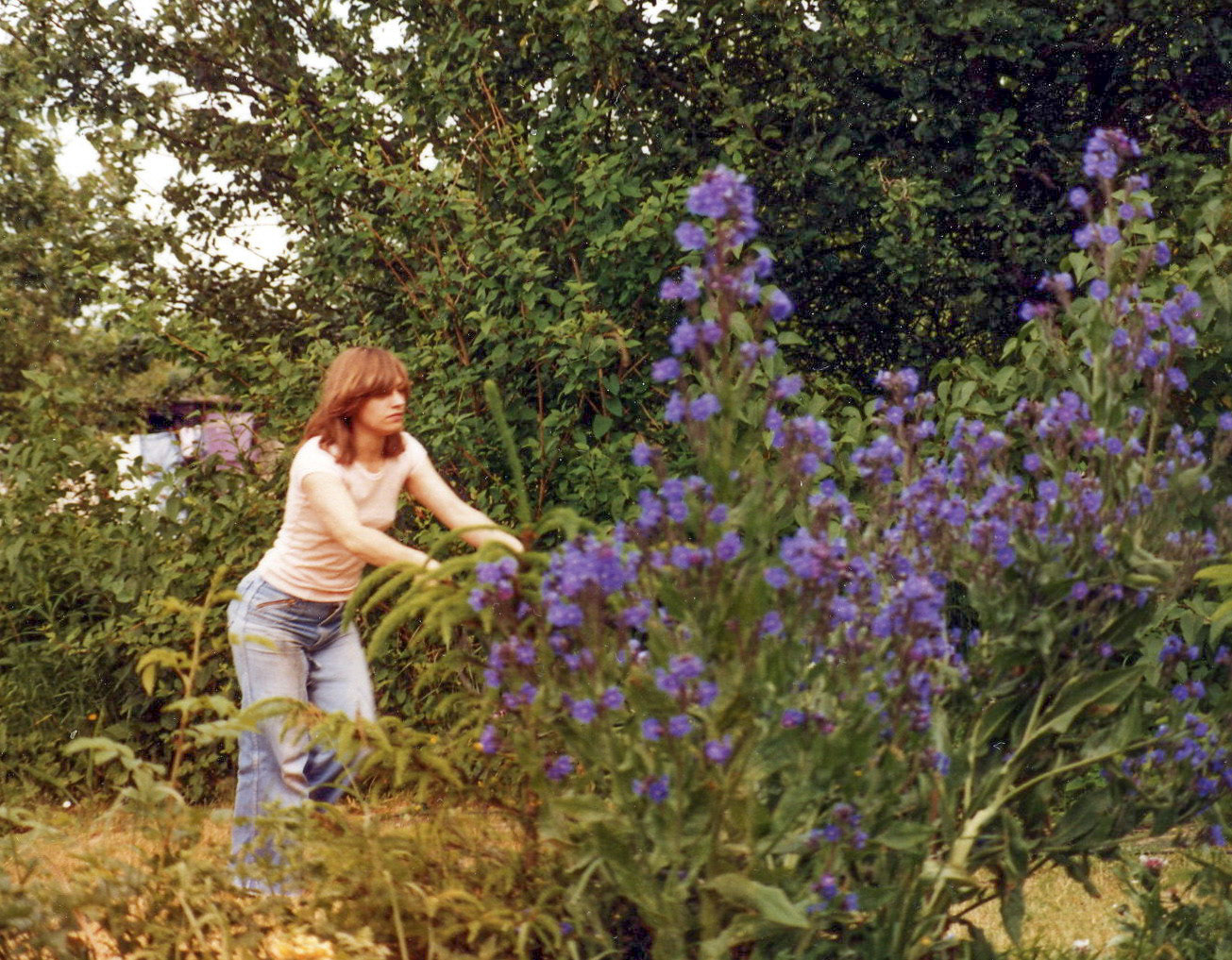 Lesley mwing the lawn