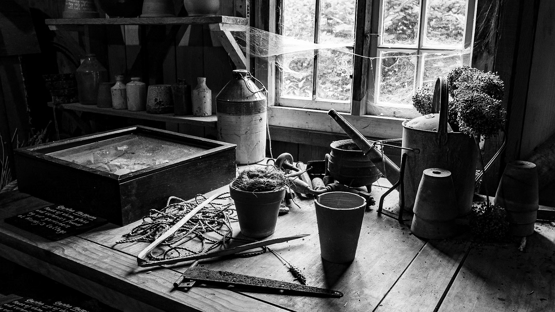Thomas Hardy's cottage (NT), Higher Bockhampton, Dorset, July 2023