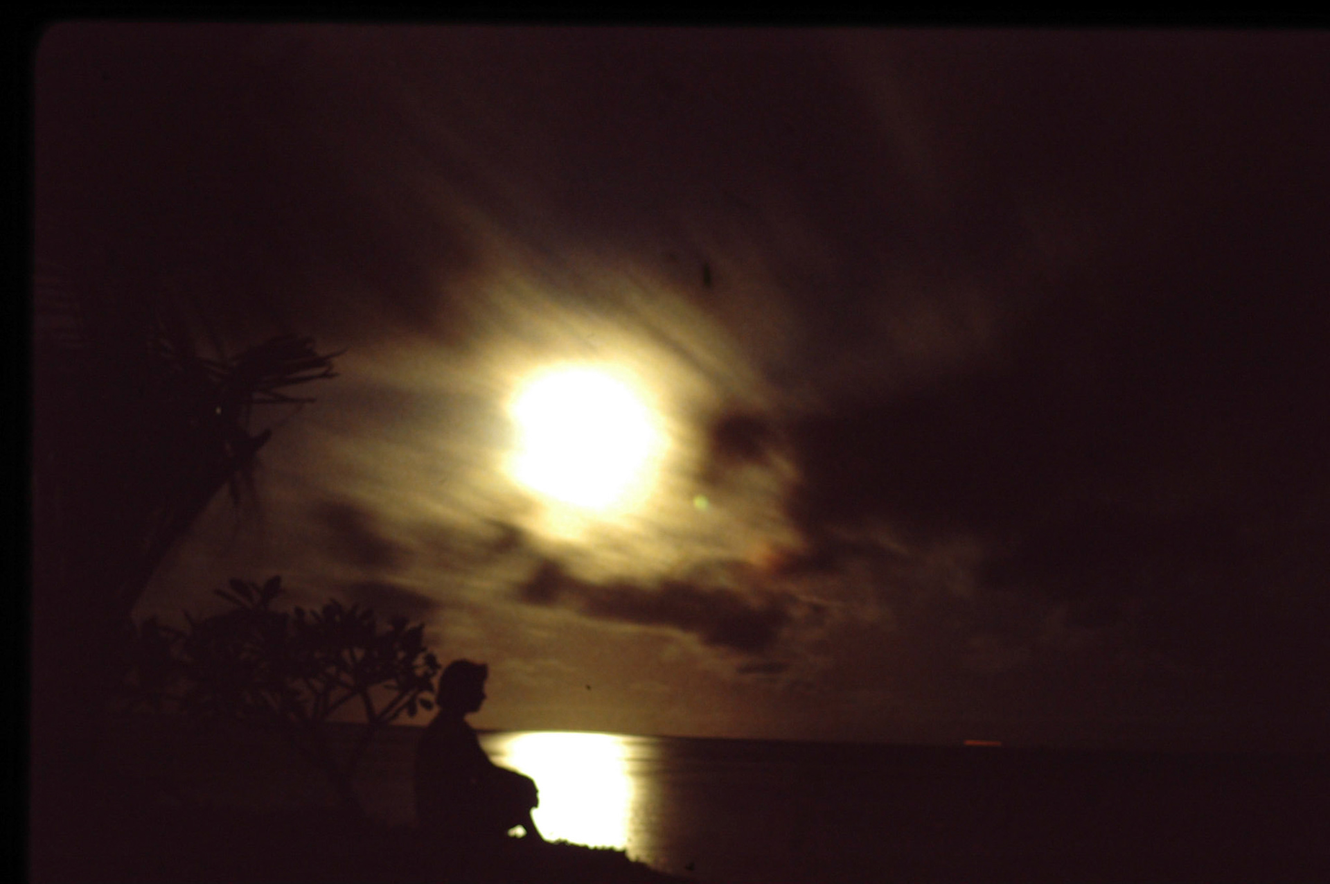 Shelley Beach Hotel, Mombassa