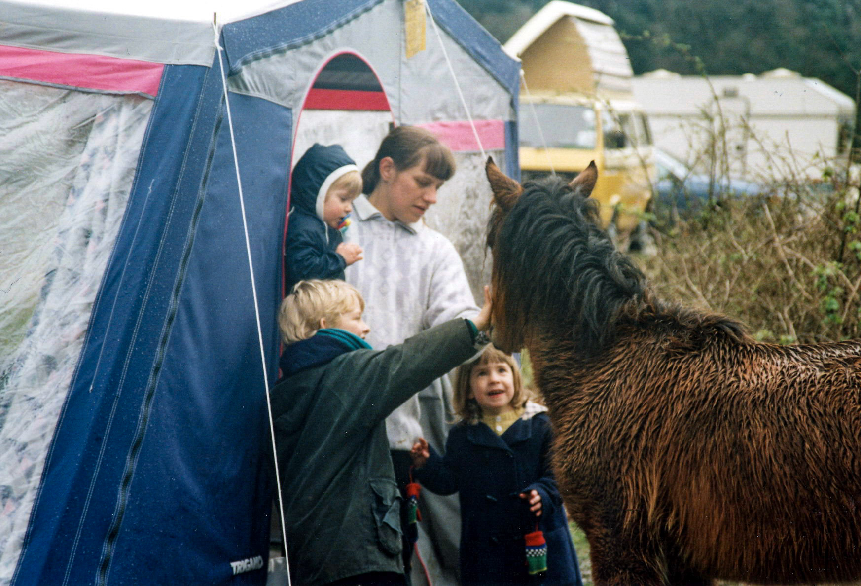 Camping in the New Forest
