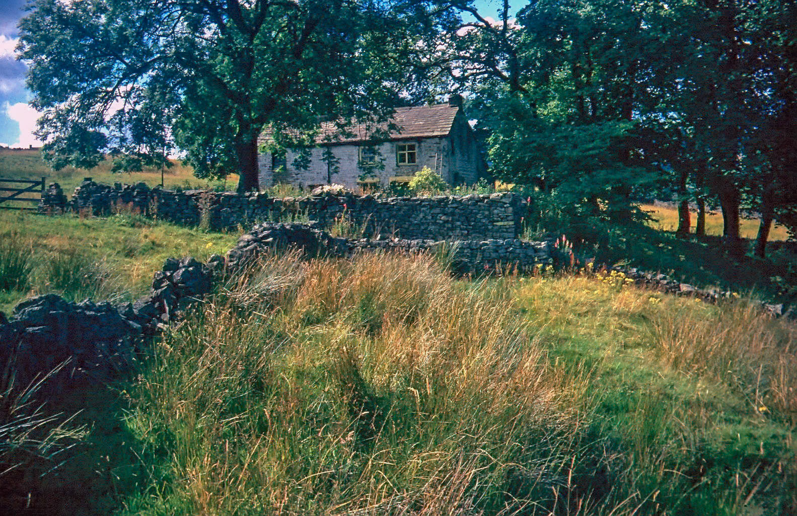"Low Rush". Our cottage near to Cowshill in Weardale.