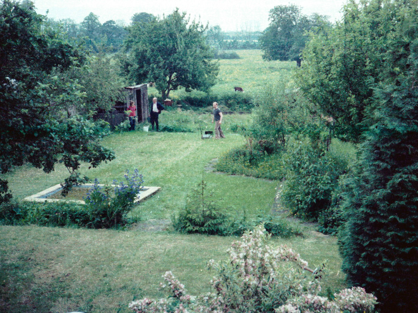 Lesley Frank and Howard gardening