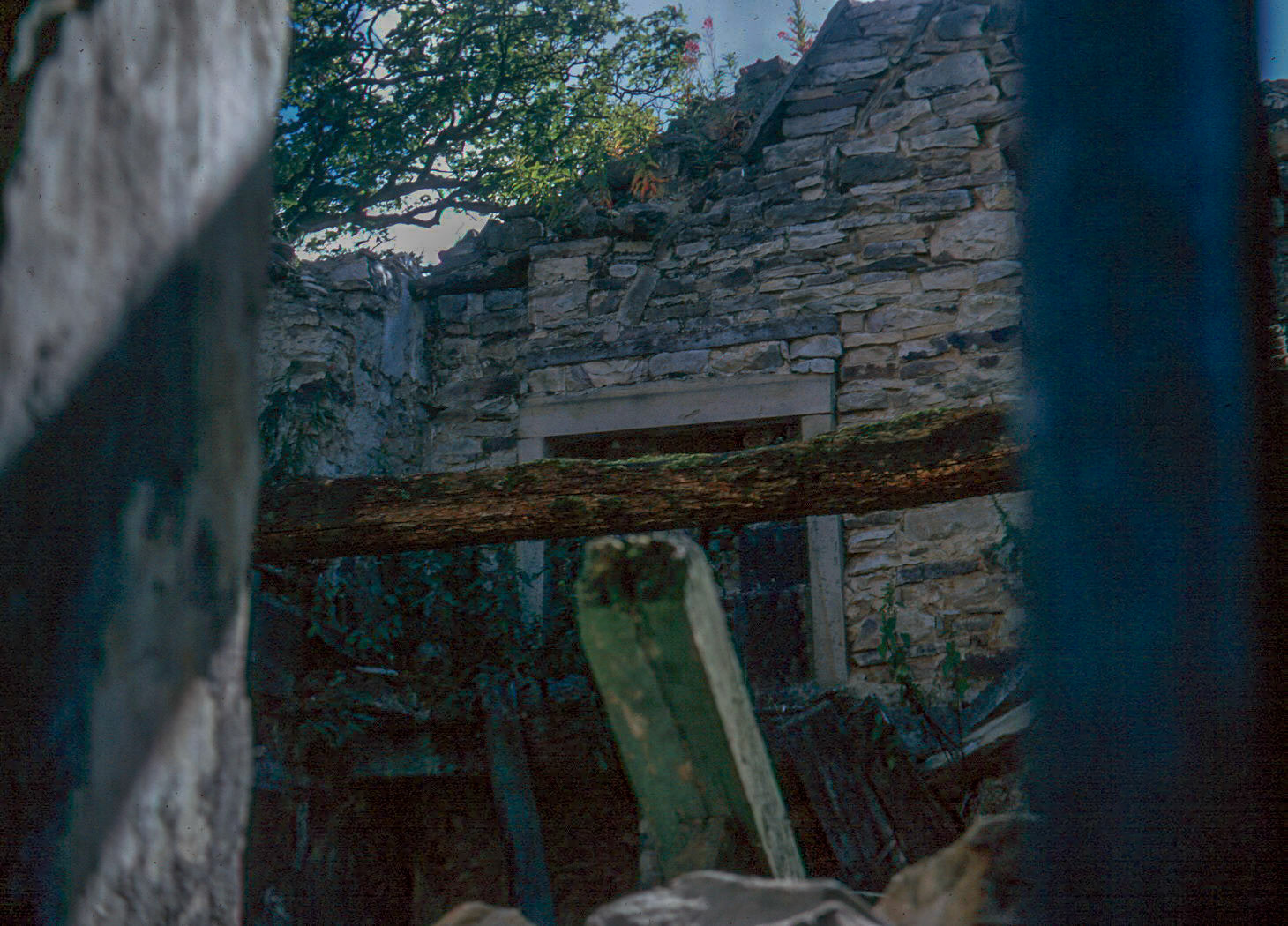 The old derelict cottage near to Low Rush