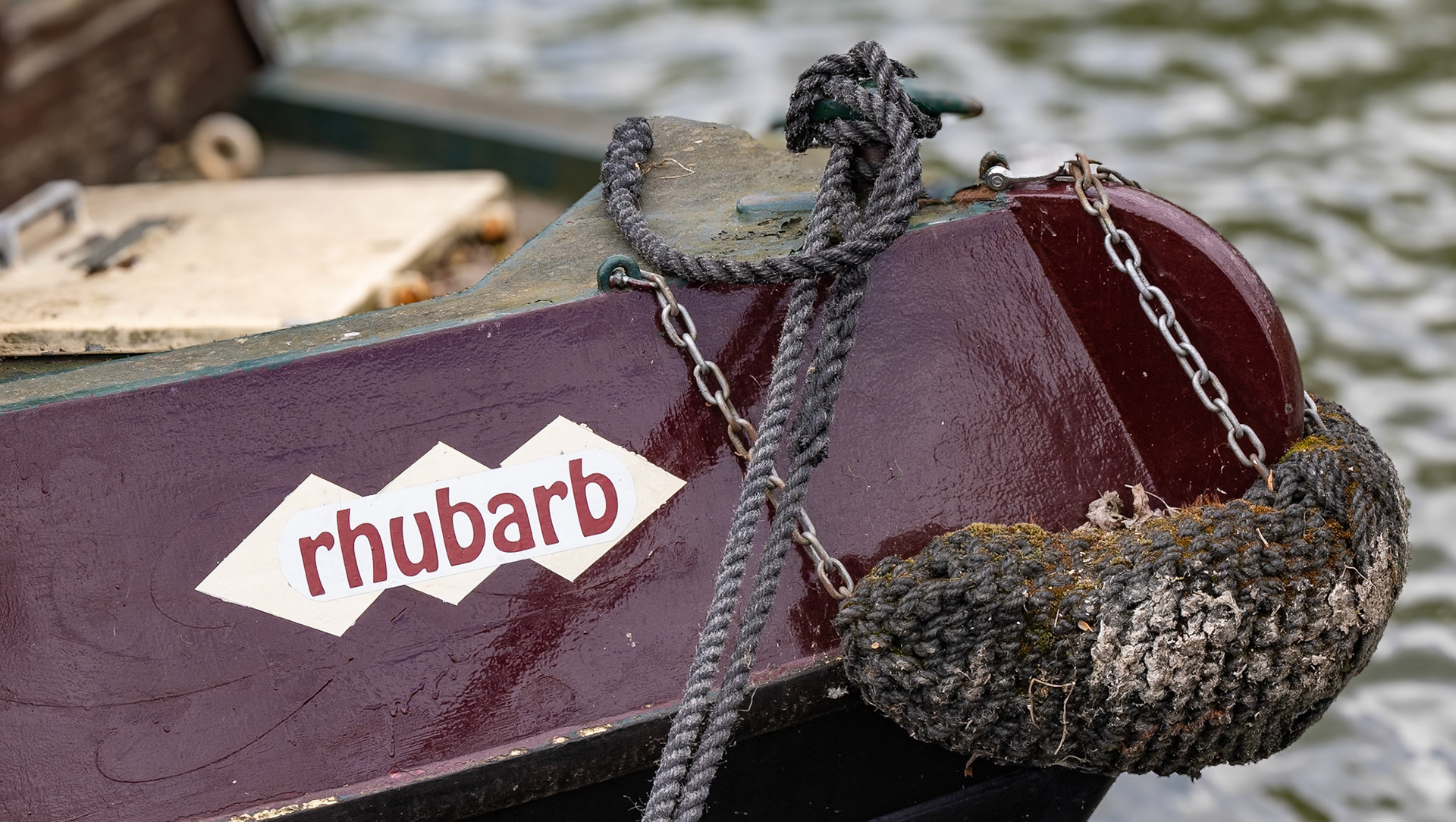 Rhubarb!!