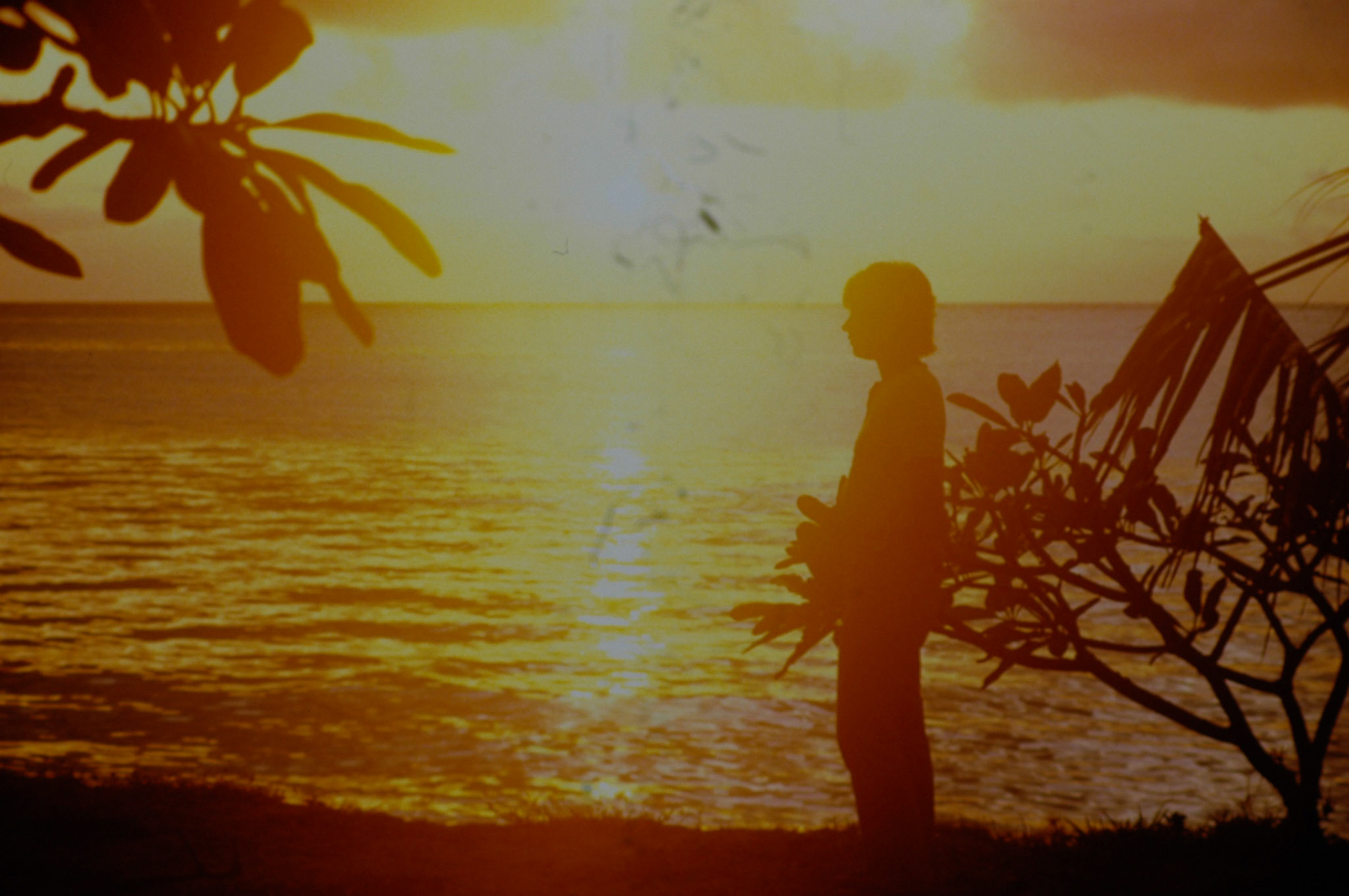 Shelley Beach Hotel, Mombassa