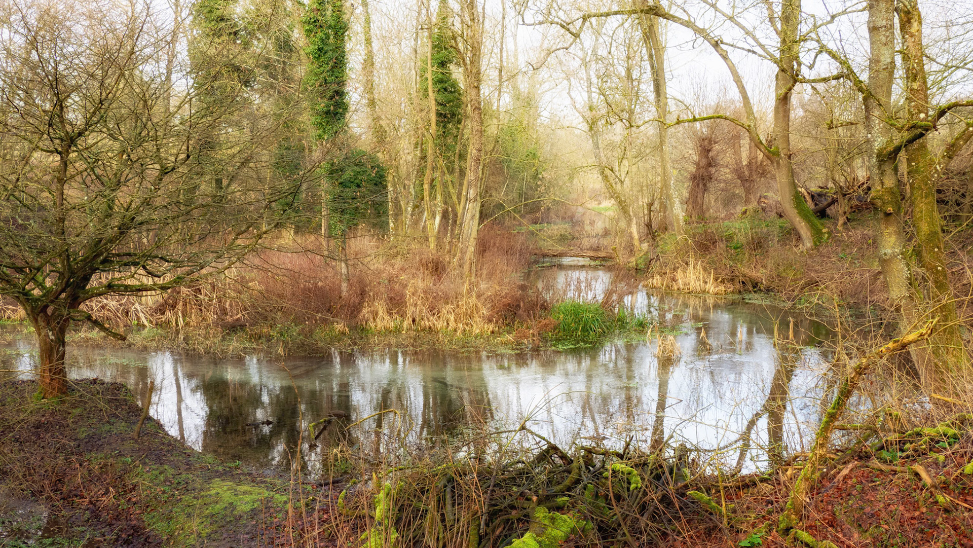 Letcombe Valley Nature Reserve