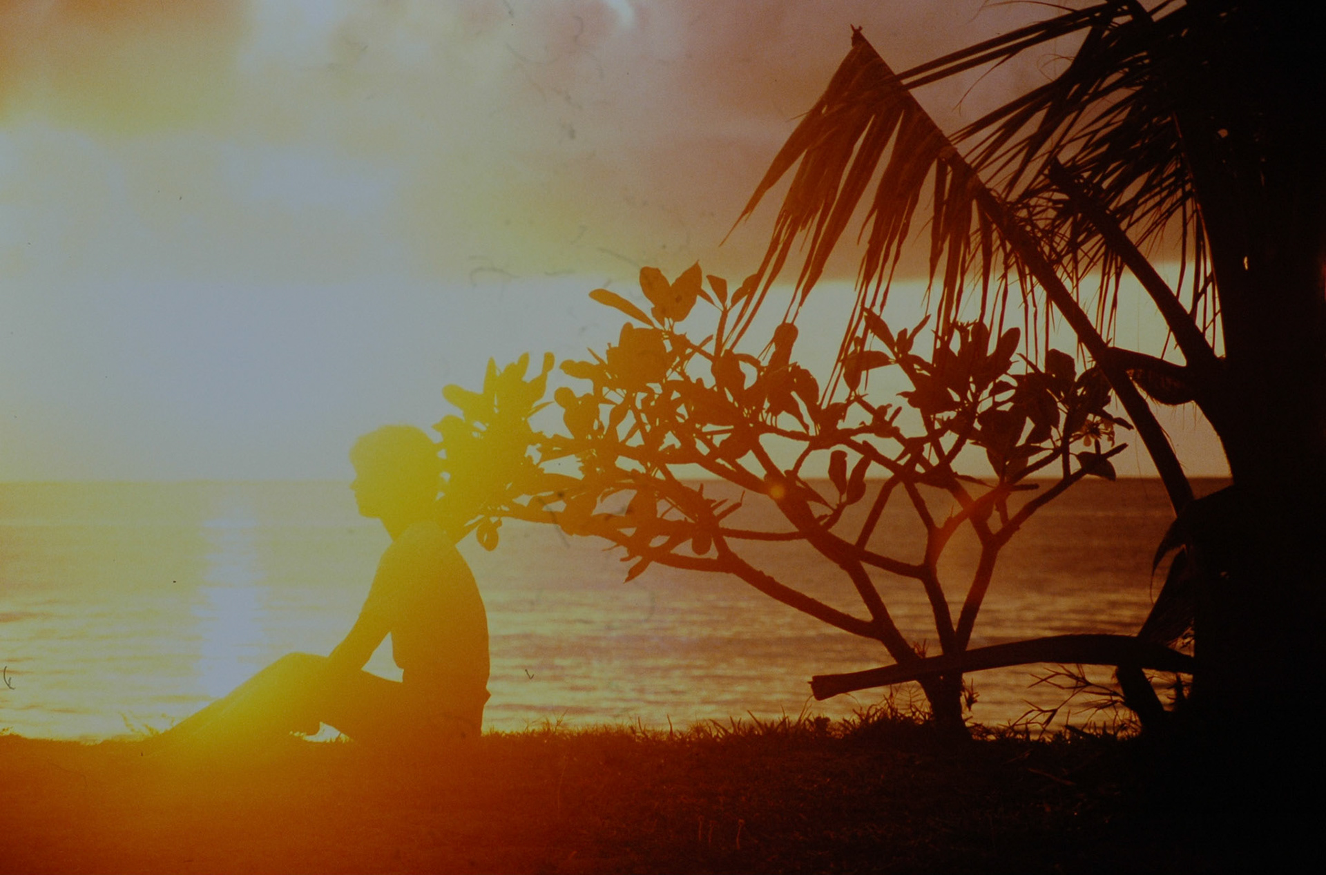Shelley Beach Hotel, Mombassa