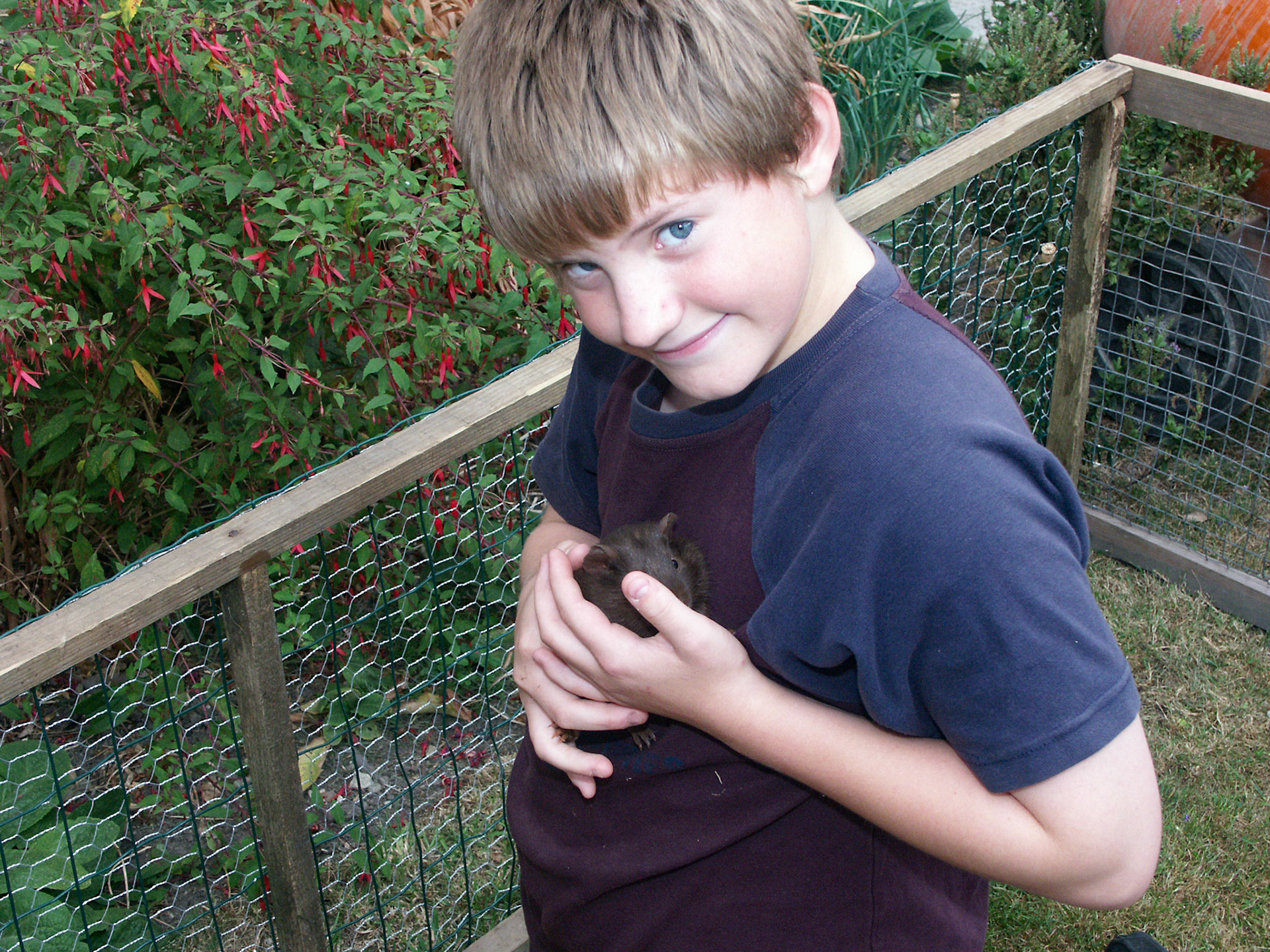 Gordon and guinea pig
