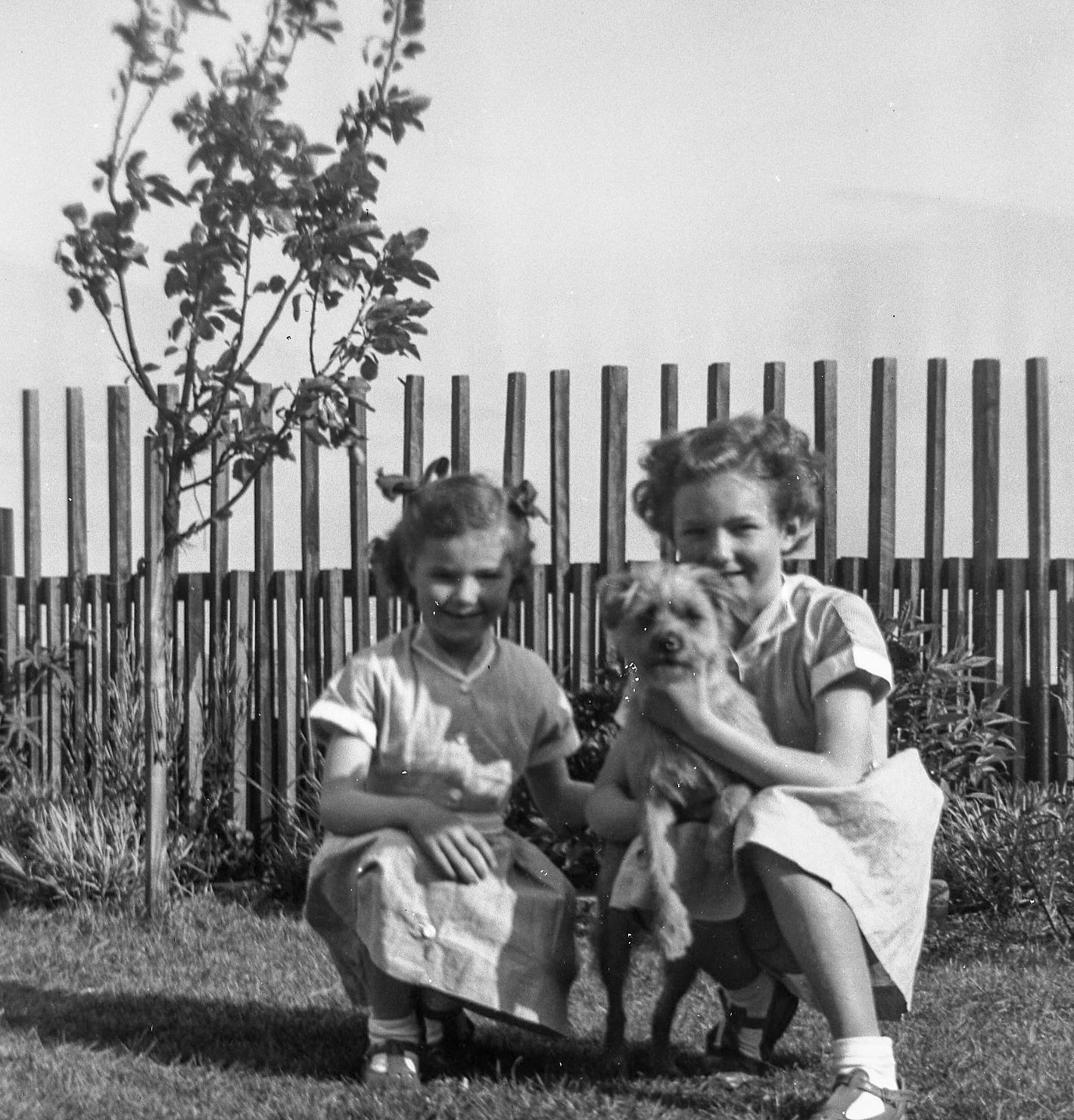 Sandra, Teddy and Lexie