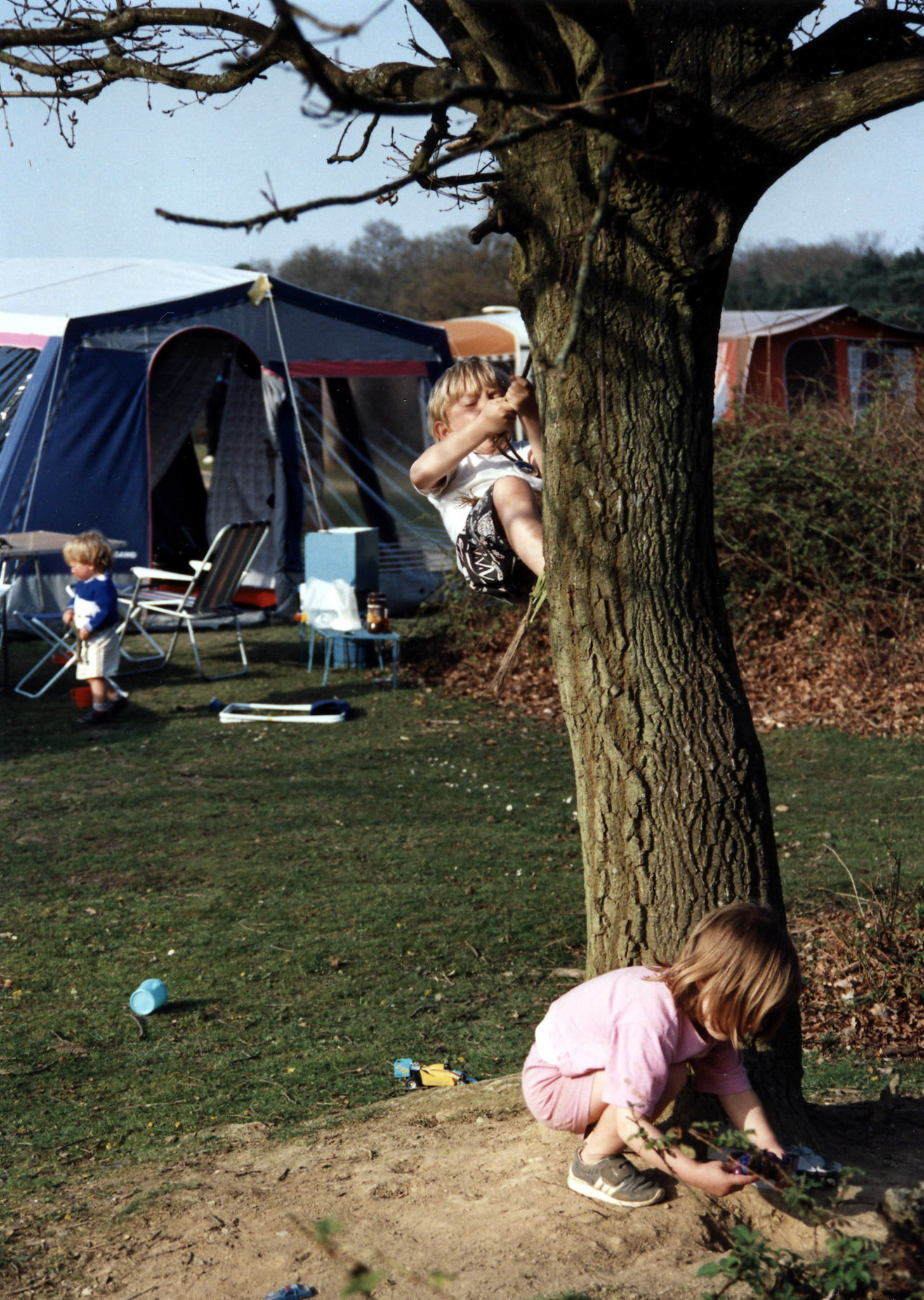 Camping in the New Forest