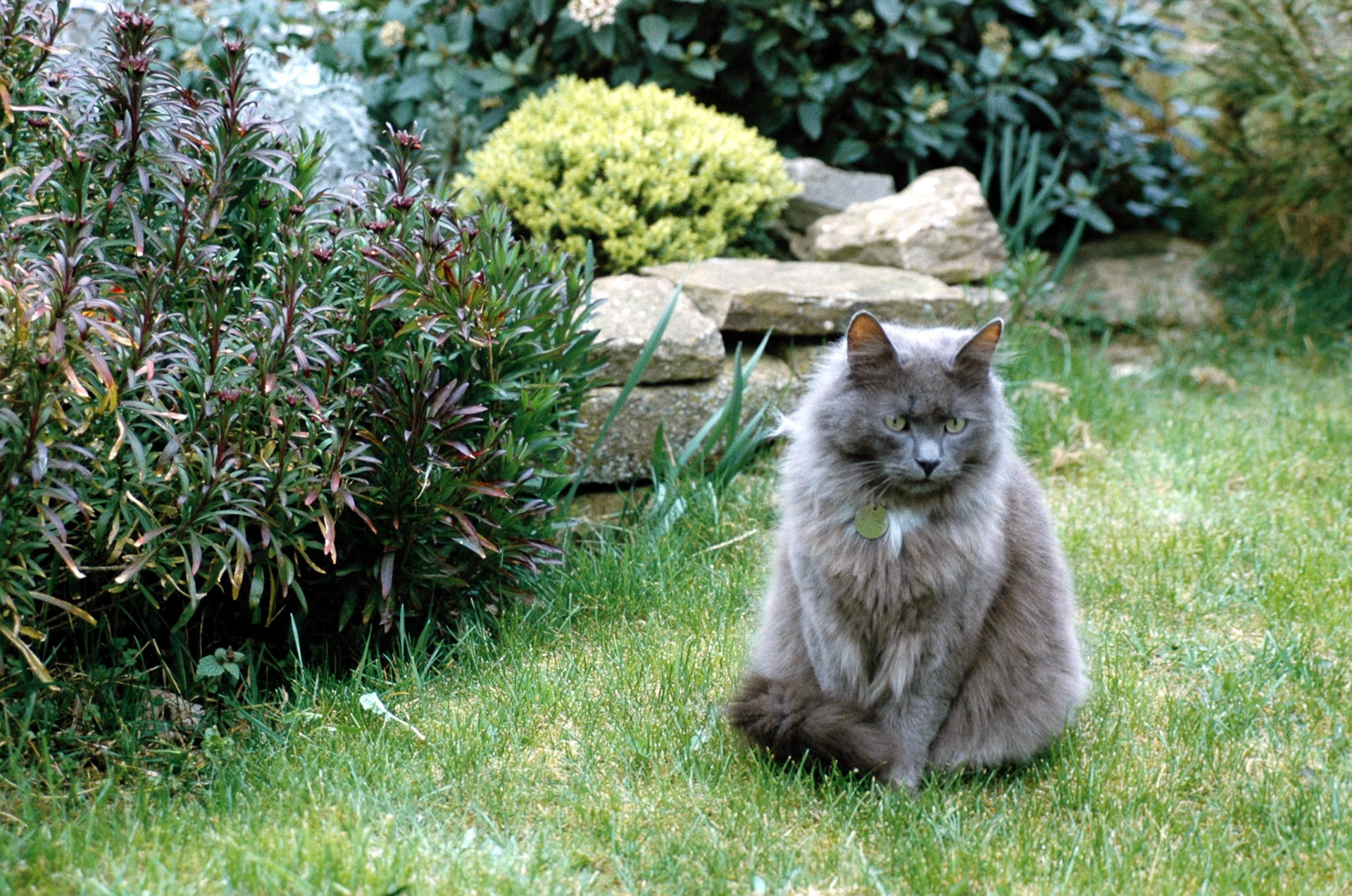 Edward